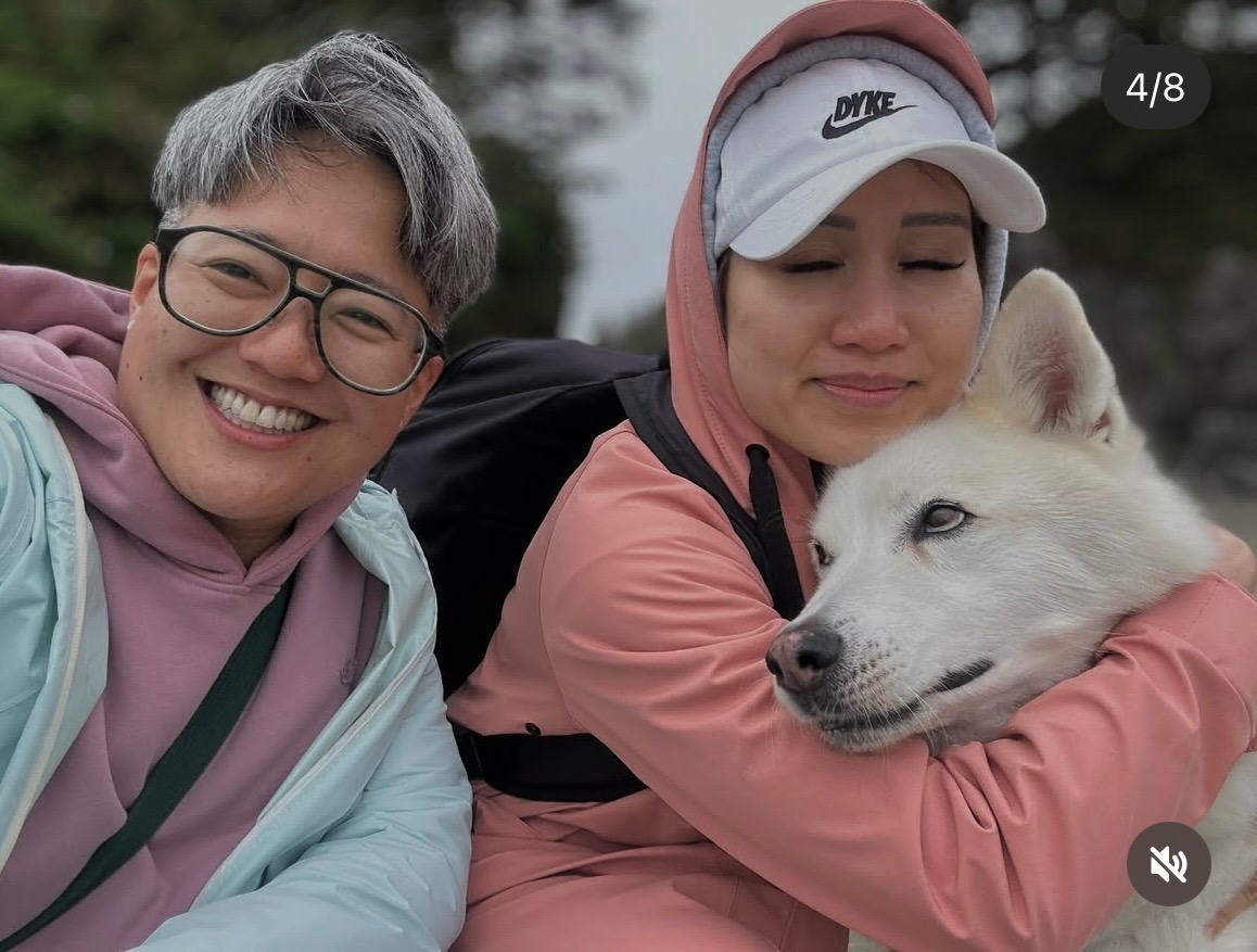 Help with Roman the Husky’s vet bills after a dog attack campaign photo, 7 of 8