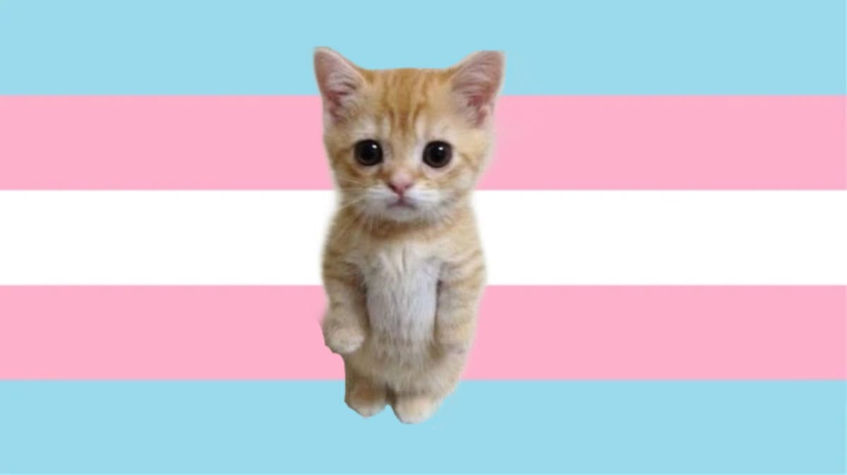 Gender Affirming Surgery campaign photo, 2 of 4