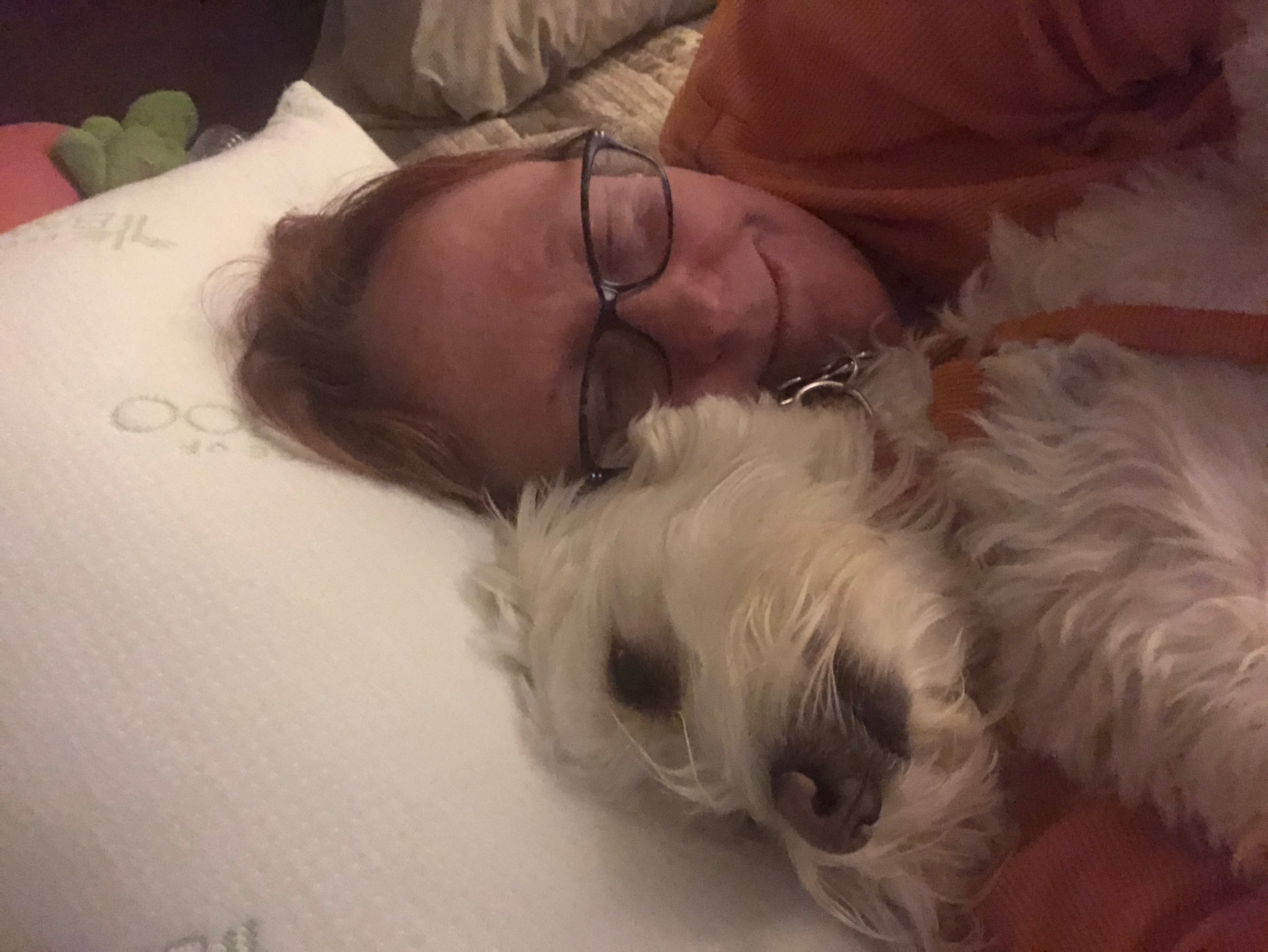 Help Duffy Get Lifesaving Vet Care campaign photo, 2 of 6
