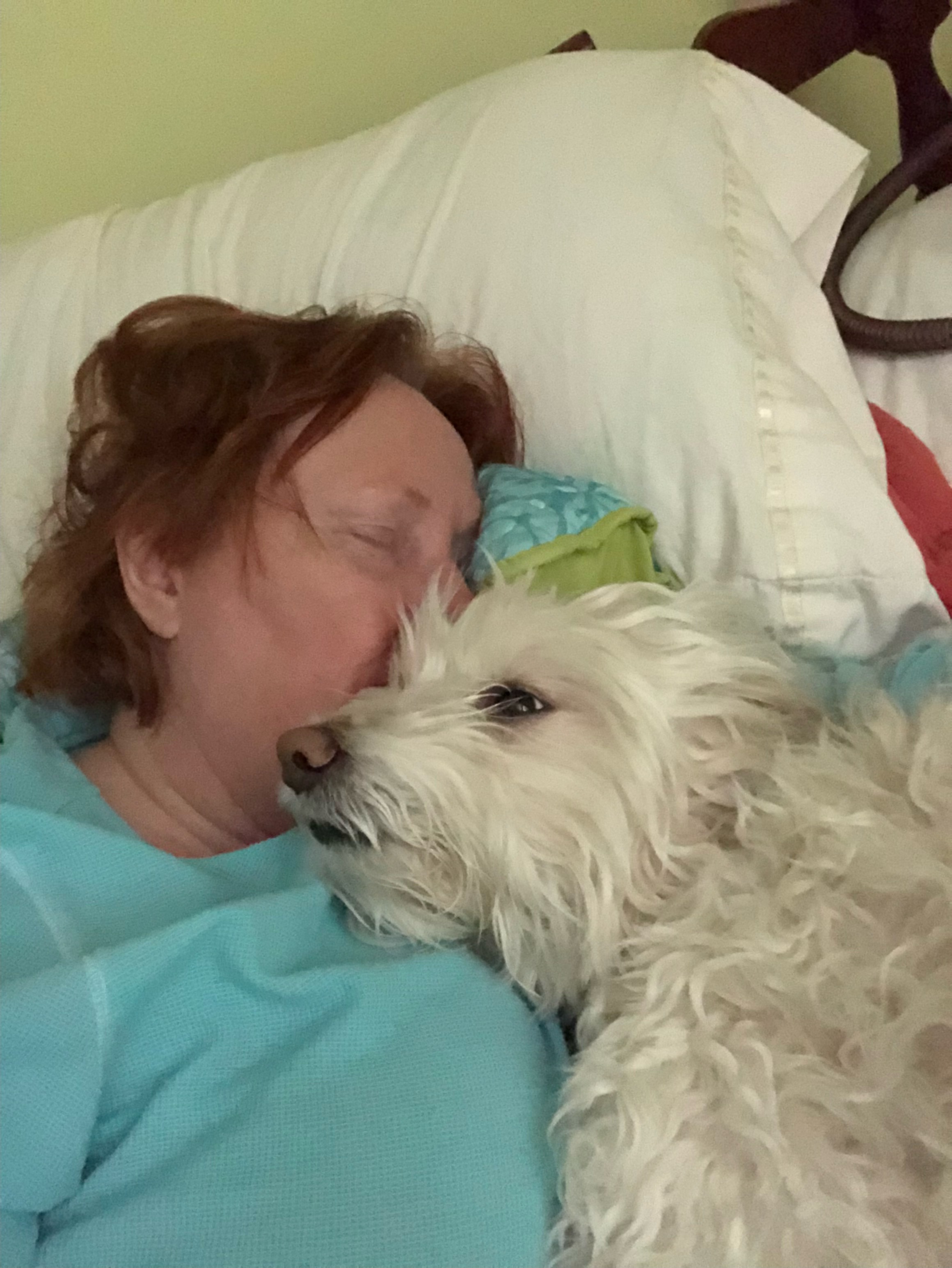 Help Duffy Get Lifesaving Vet Care campaign photo, 4 of 6