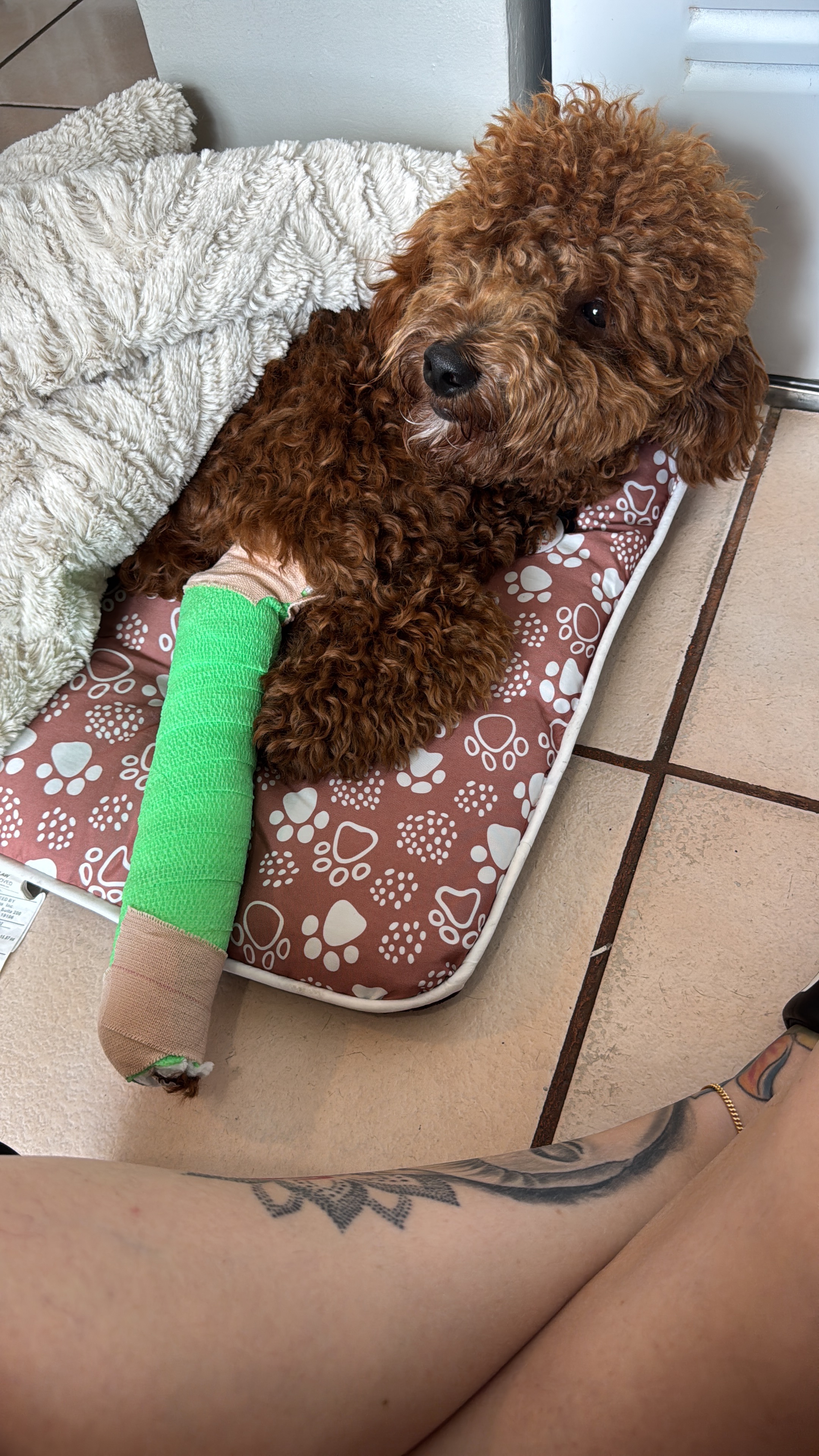Chase's Surgery: A Family's Plea for Aid campaign photo, 4 of 6