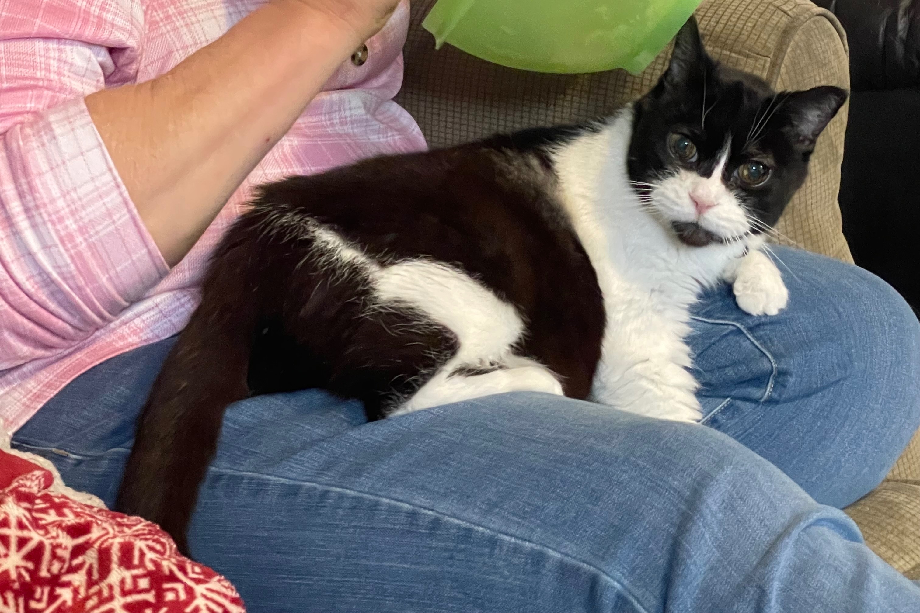 Help Jenny Receive Medical Care campaign photo, 2 of 4