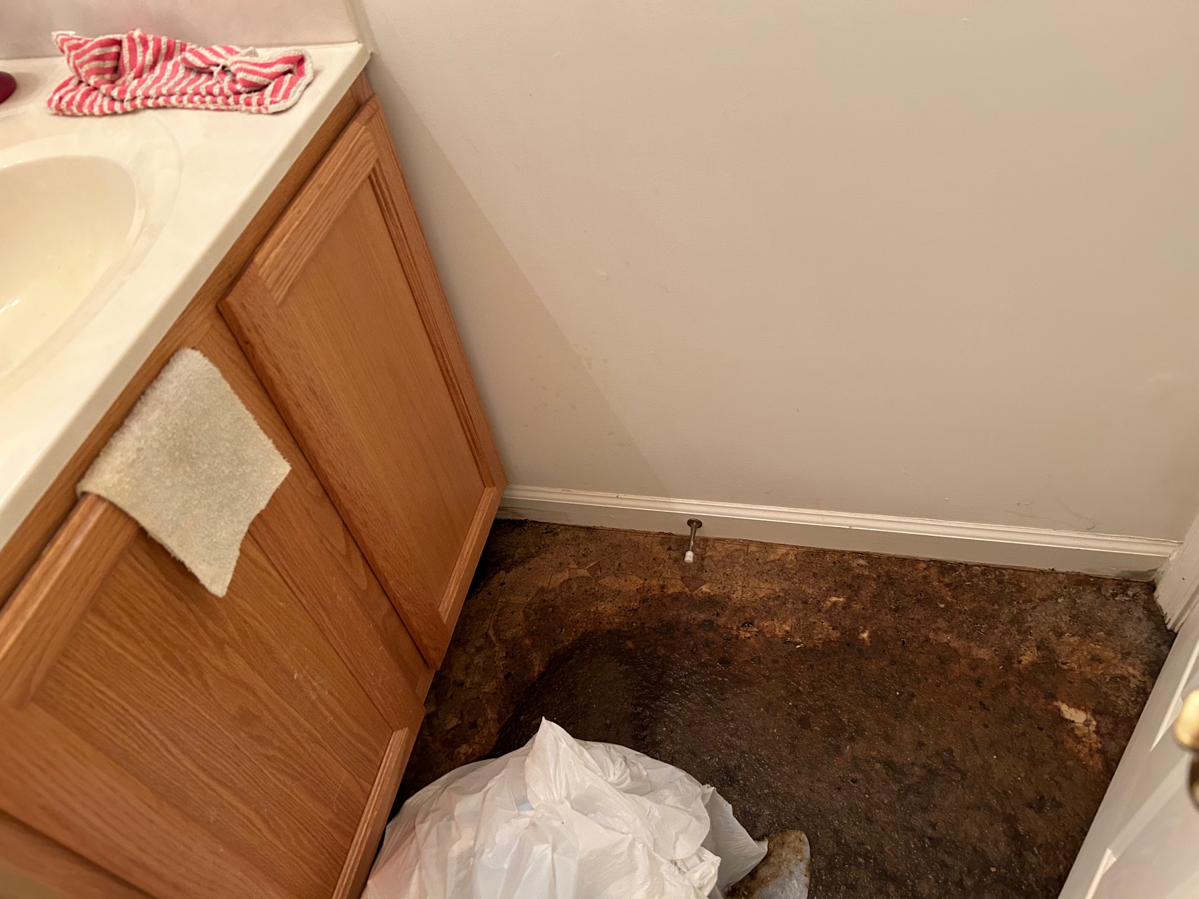 Eric's Mom Needs Your Help After Flood campaign photo, 2 of 6