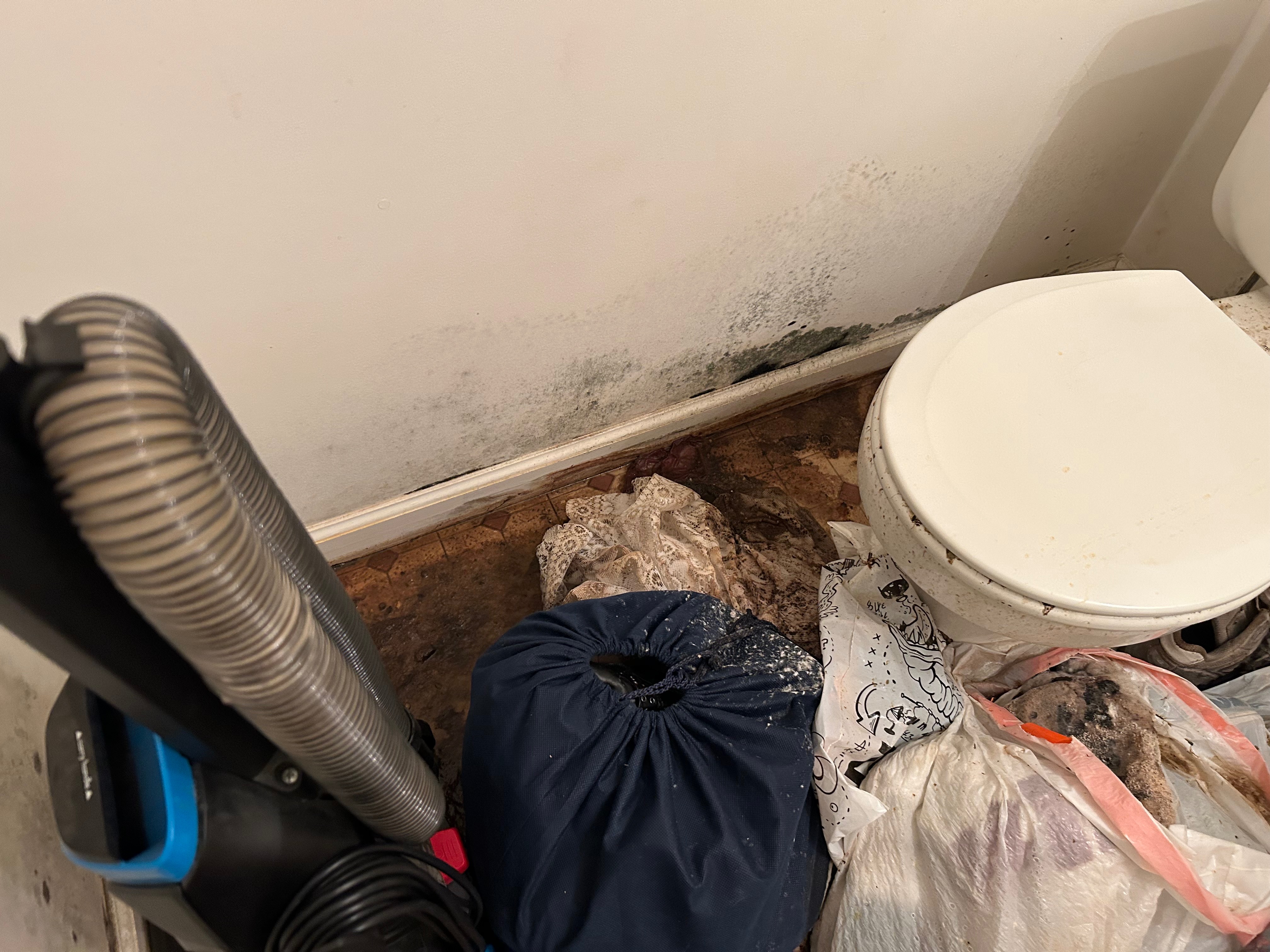 Eric's Mom Needs Your Help After Flood campaign photo, 4 of 6