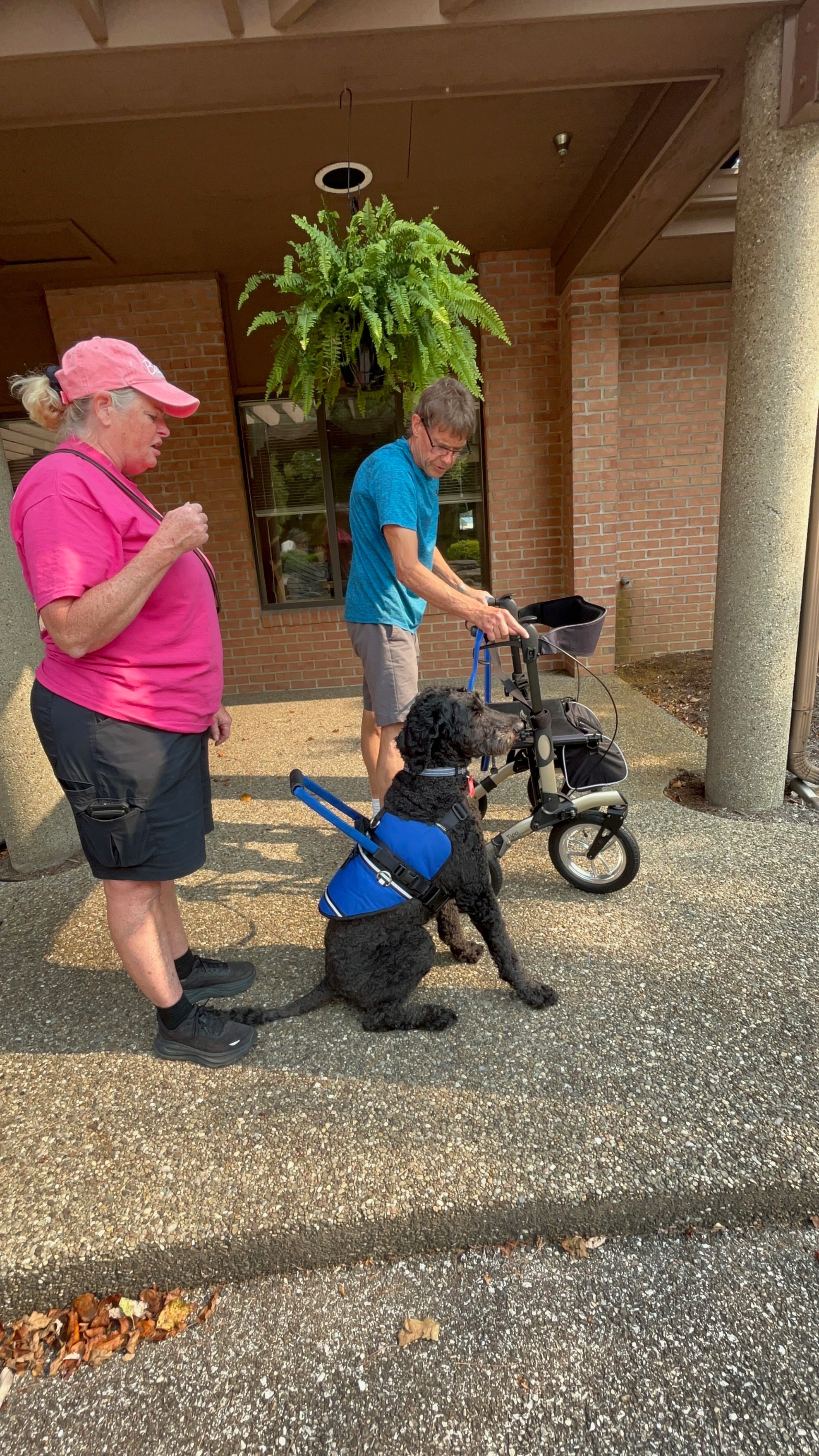 From Surviving to Thriving—With a Service Dog's Help campaign photo, 2 of 4