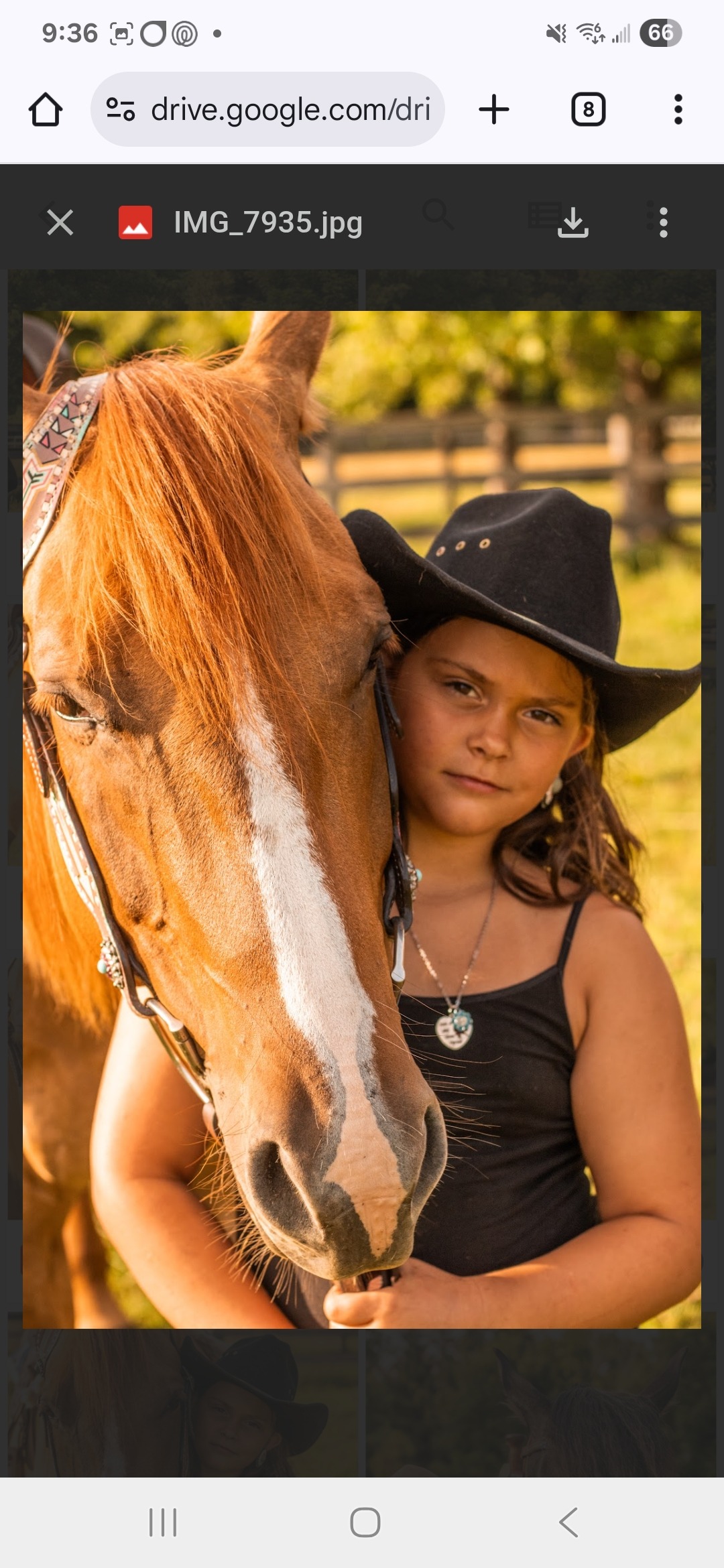 User-uploaded image 2