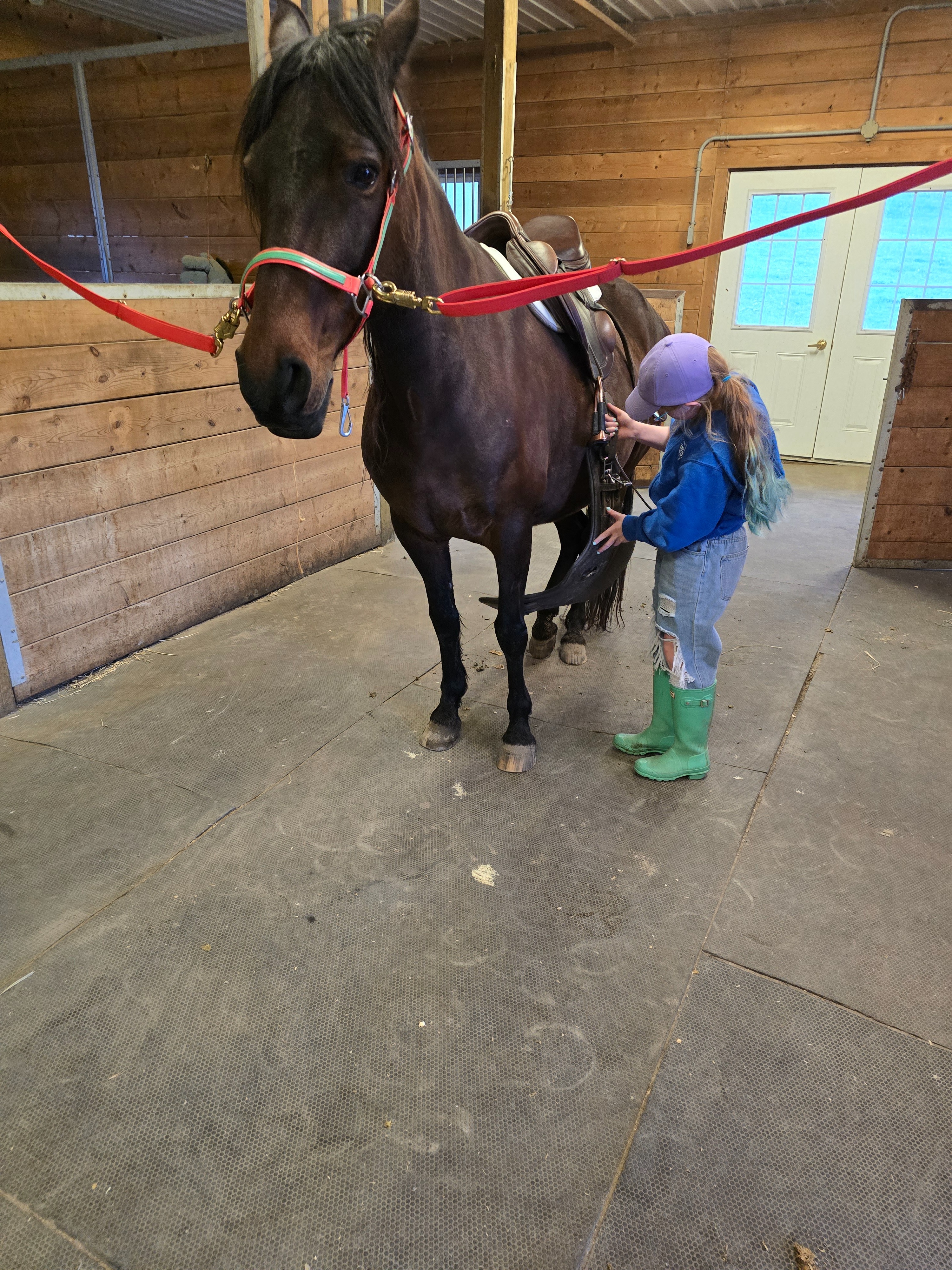 User-uploaded image 3