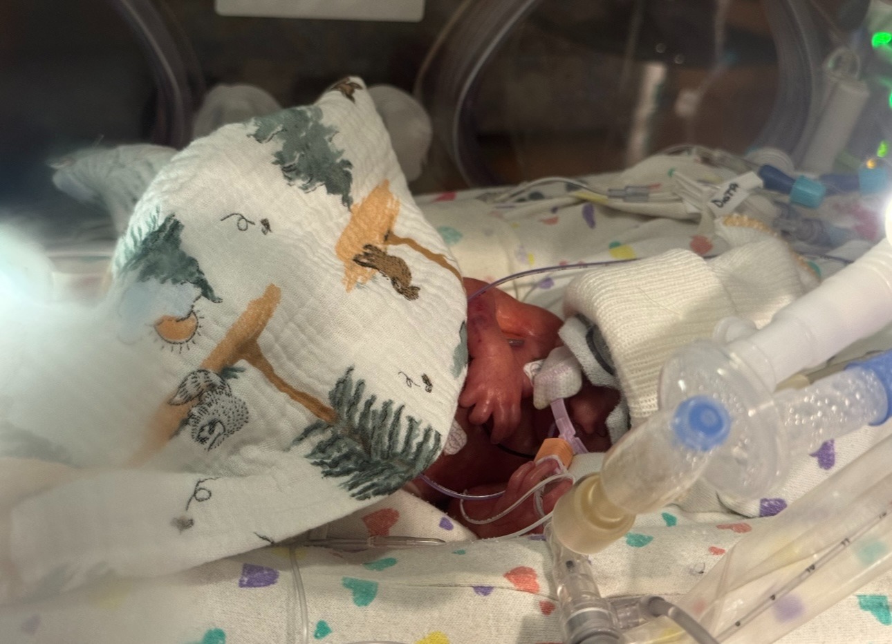 A Lion’s Legacy, His Twin Brother's NICU Fight campaign photo, 4 of 8