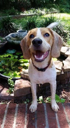 Donate to Keep Tucker Taylor Healthy and Happy campaign photo, 7 of 8
