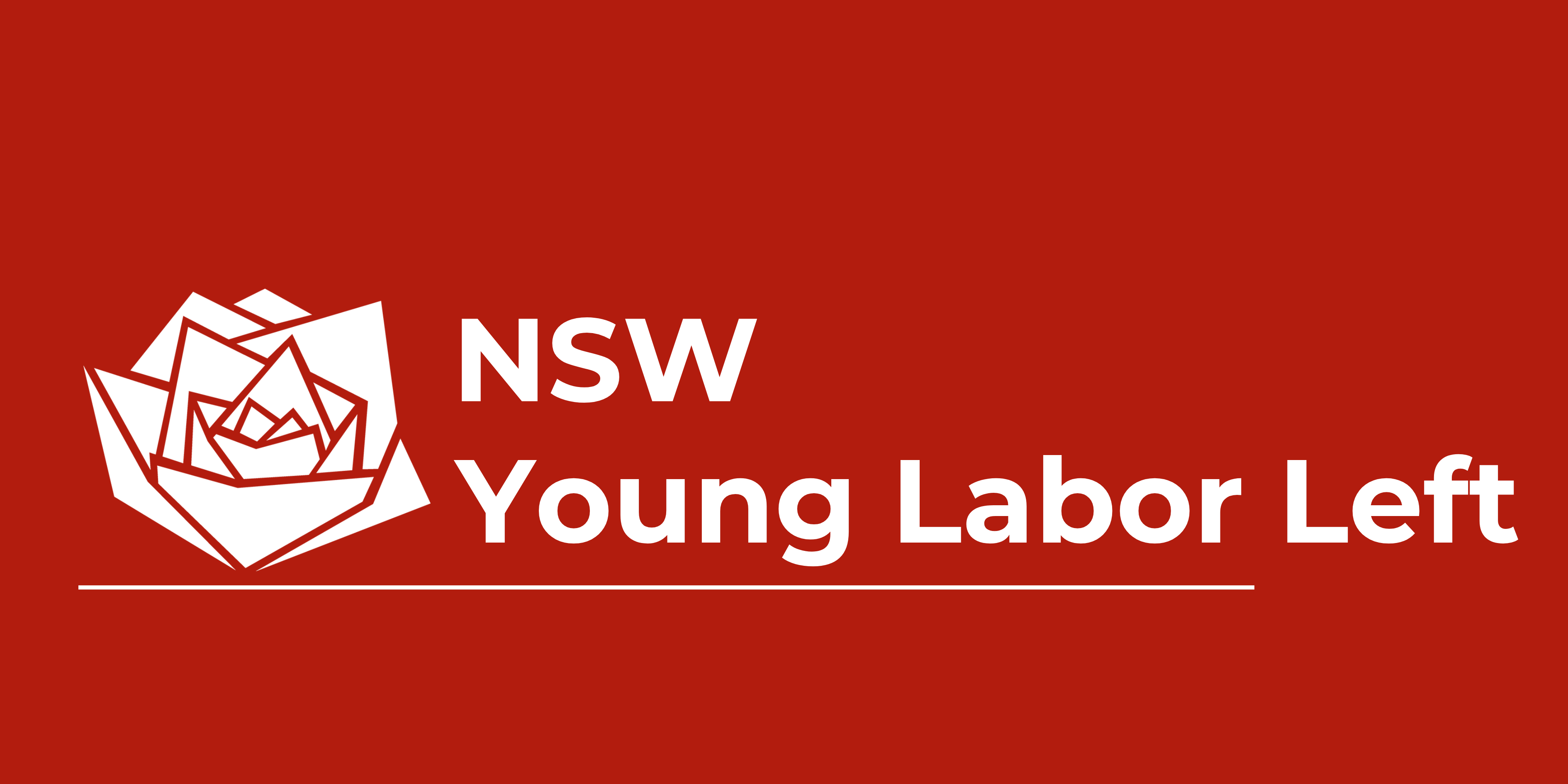 Support the NSW Young Labor Left campaign photo, 2 of 4