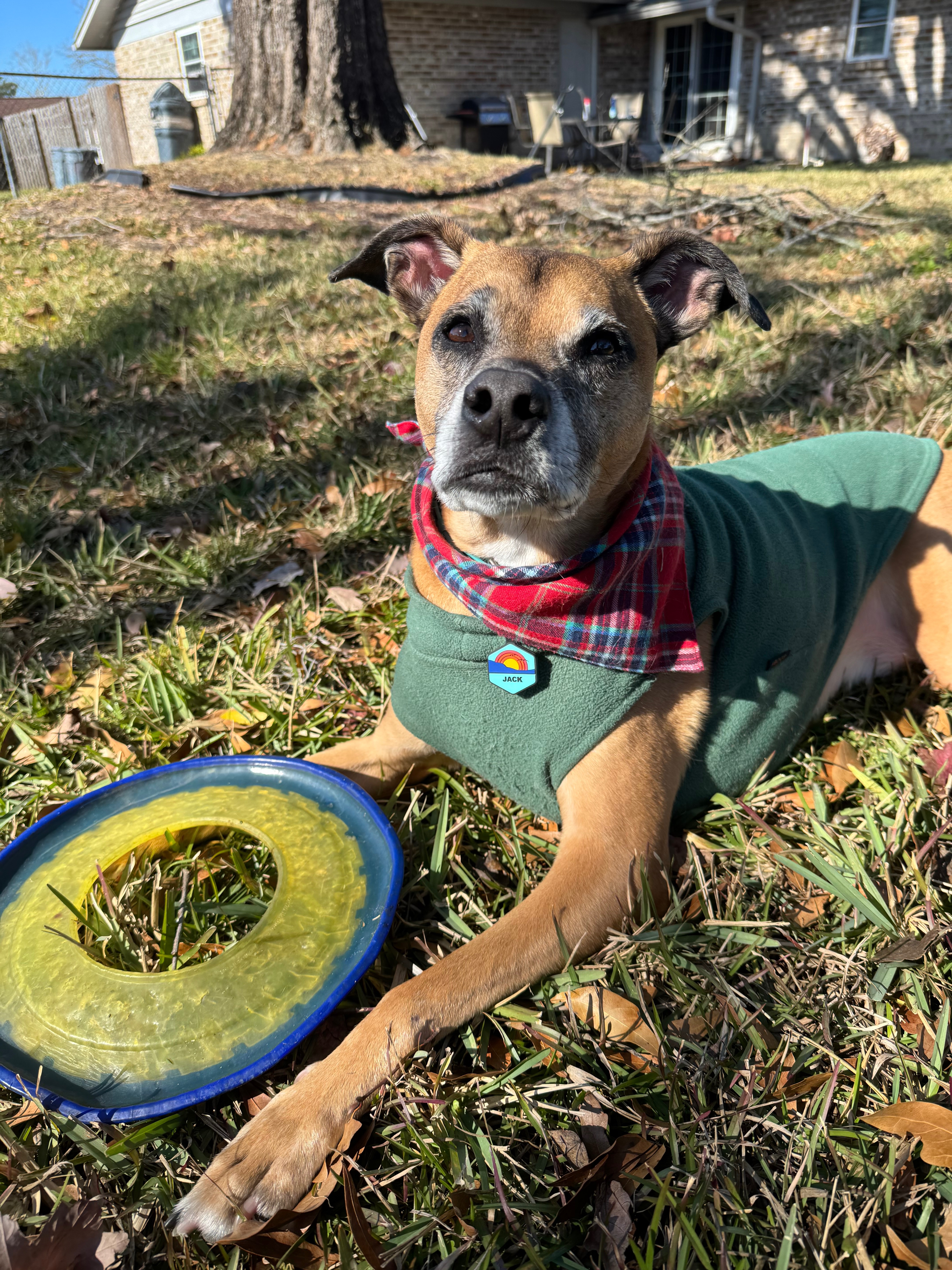Help This Good Boy Run Again campaign photo, 4 of 8