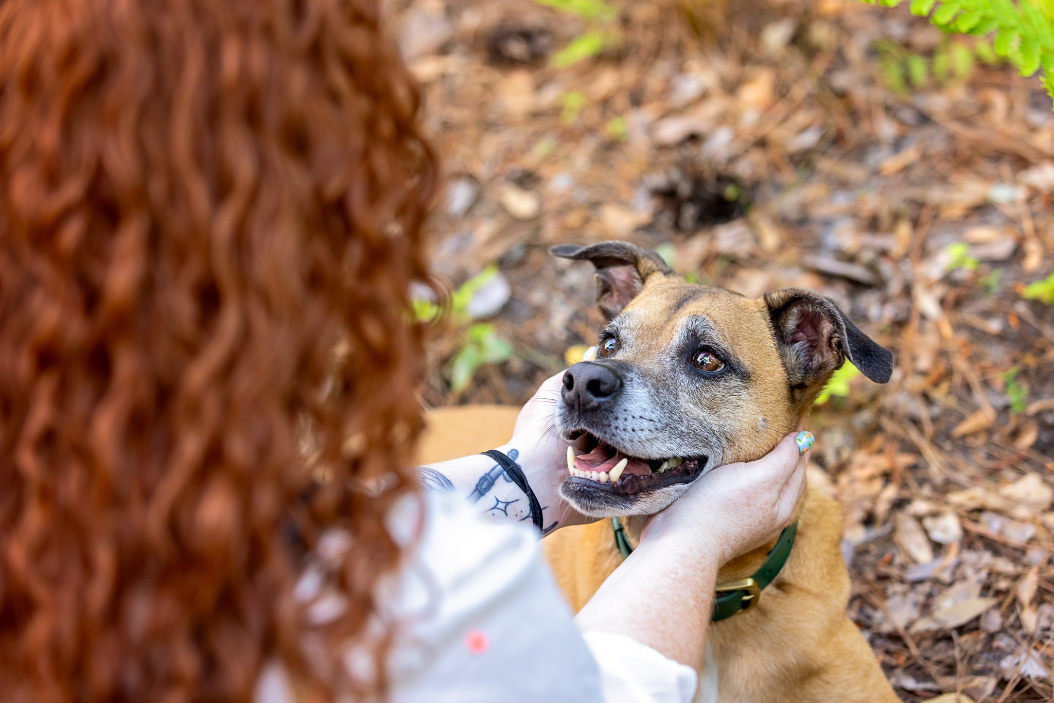Help This Good Boy Run Again campaign photo, 5 of 8