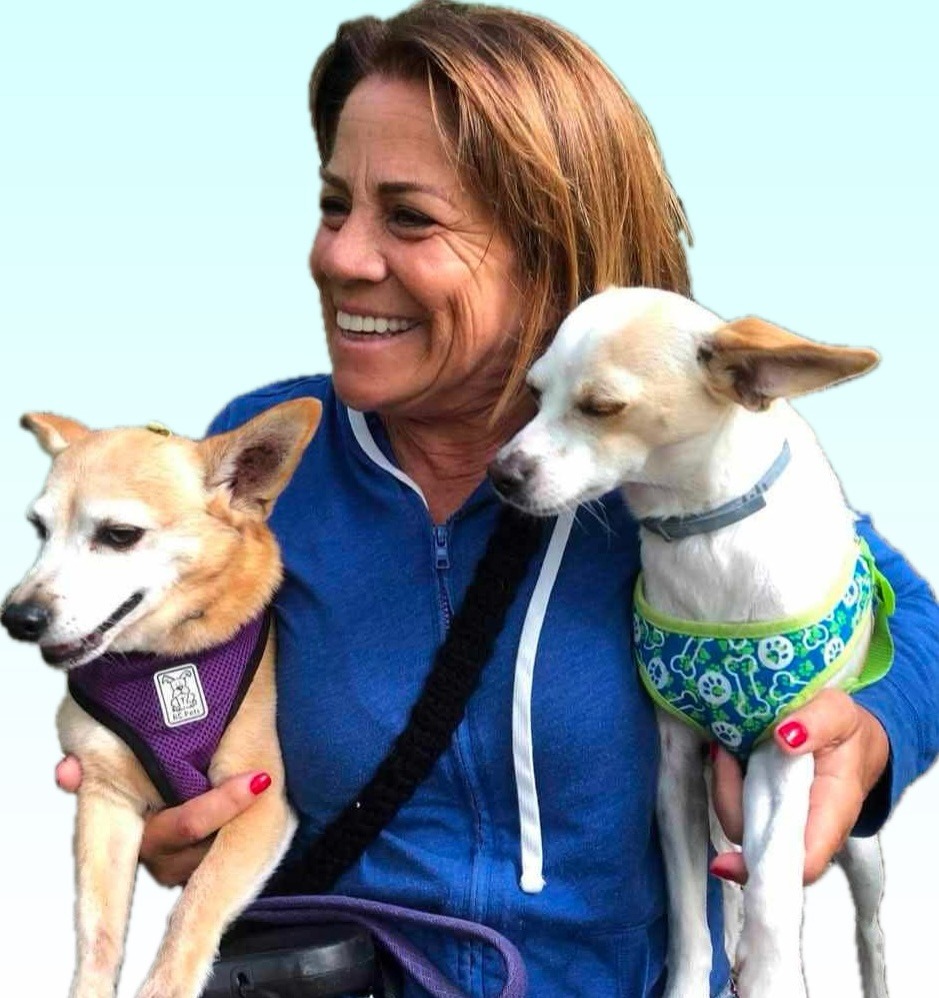 Support Laura's Recovery from Medical Emergency campaign photo, 5 of 6