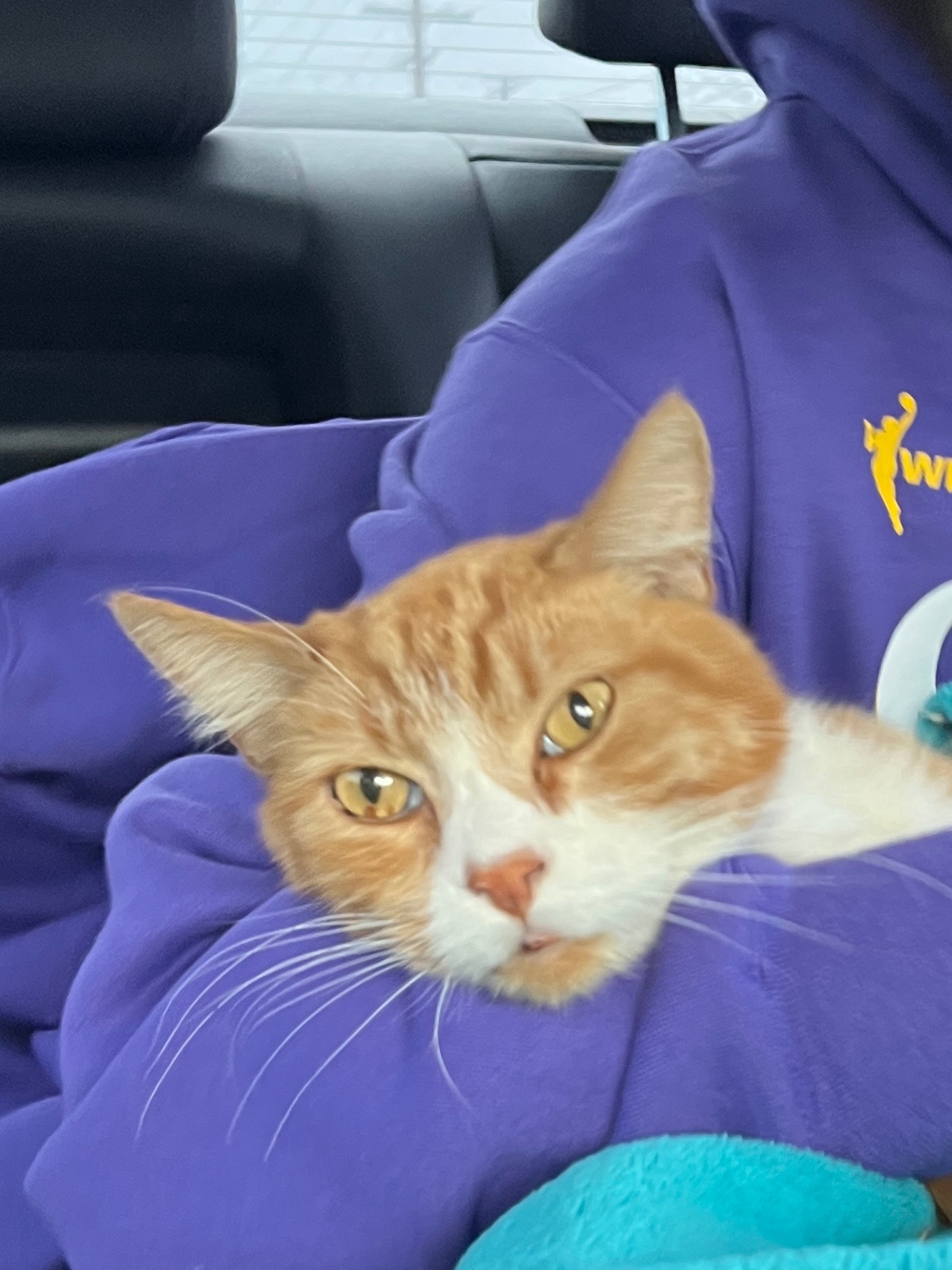 Support a Grieving Family After Pet Loss campaign photo, 2 of 4