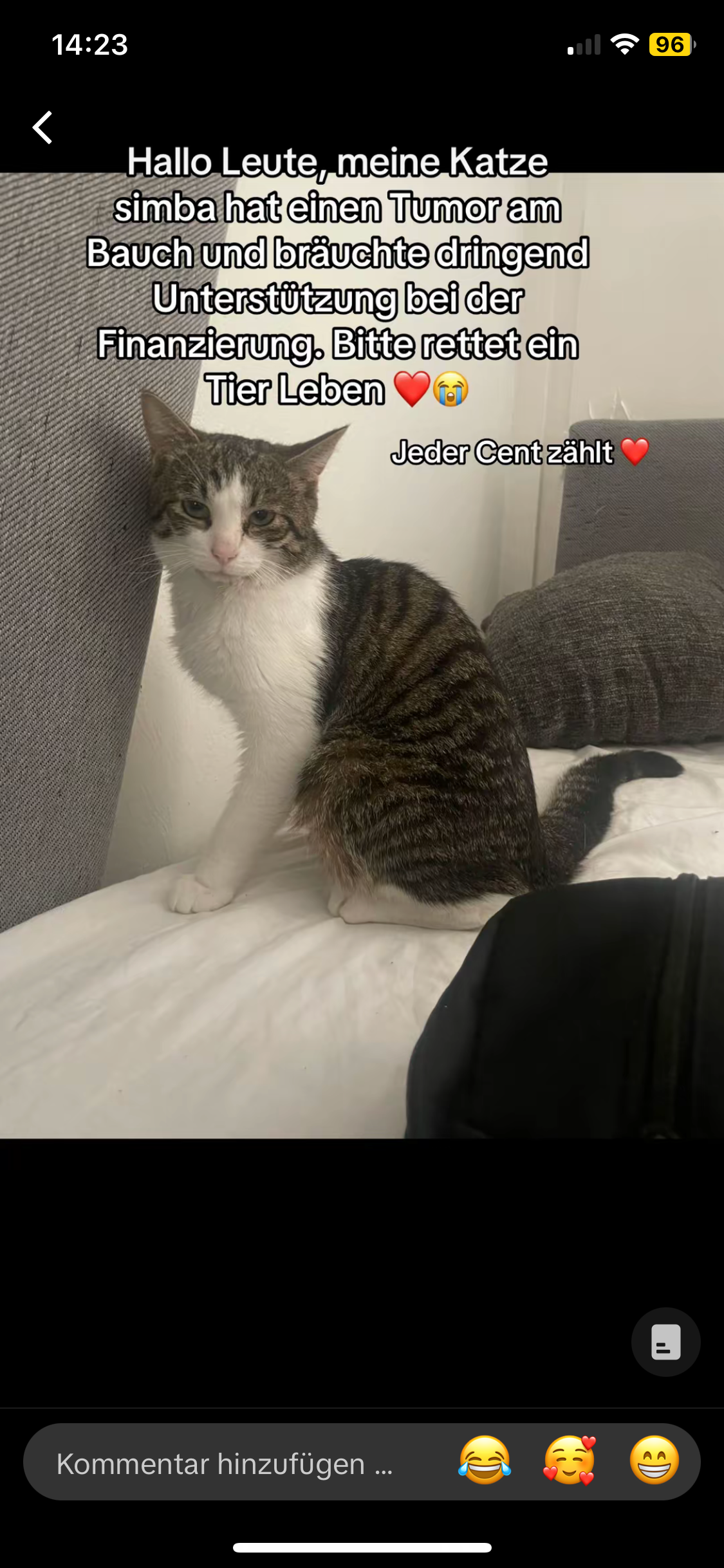 Hallo ich bitte um Hilfe bin alleinerziehende Mutter❤️ campaign photo, 2 of 4