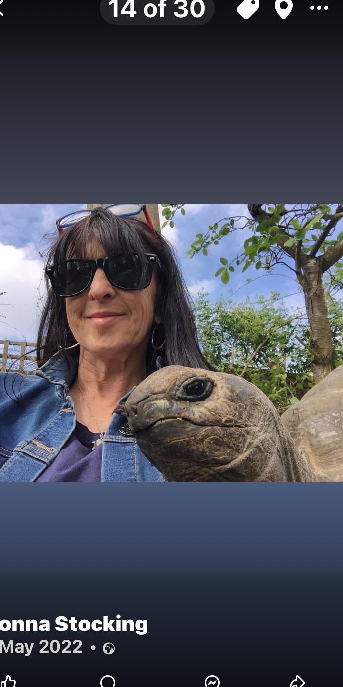 Help me help tortoises campaign photo, 5 of 6