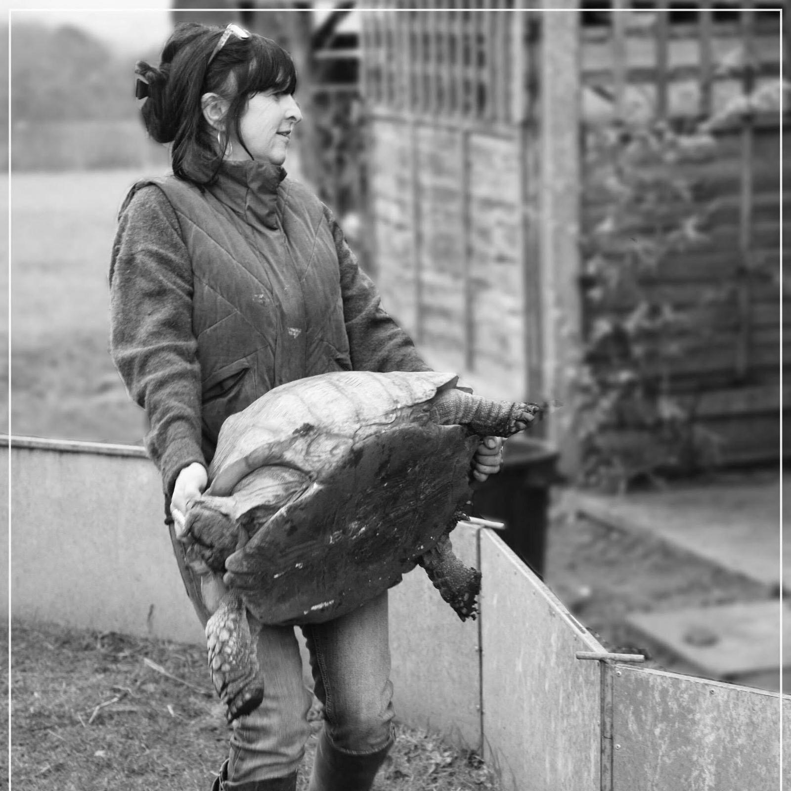 Help me help tortoises campaign photo, 4 of 6