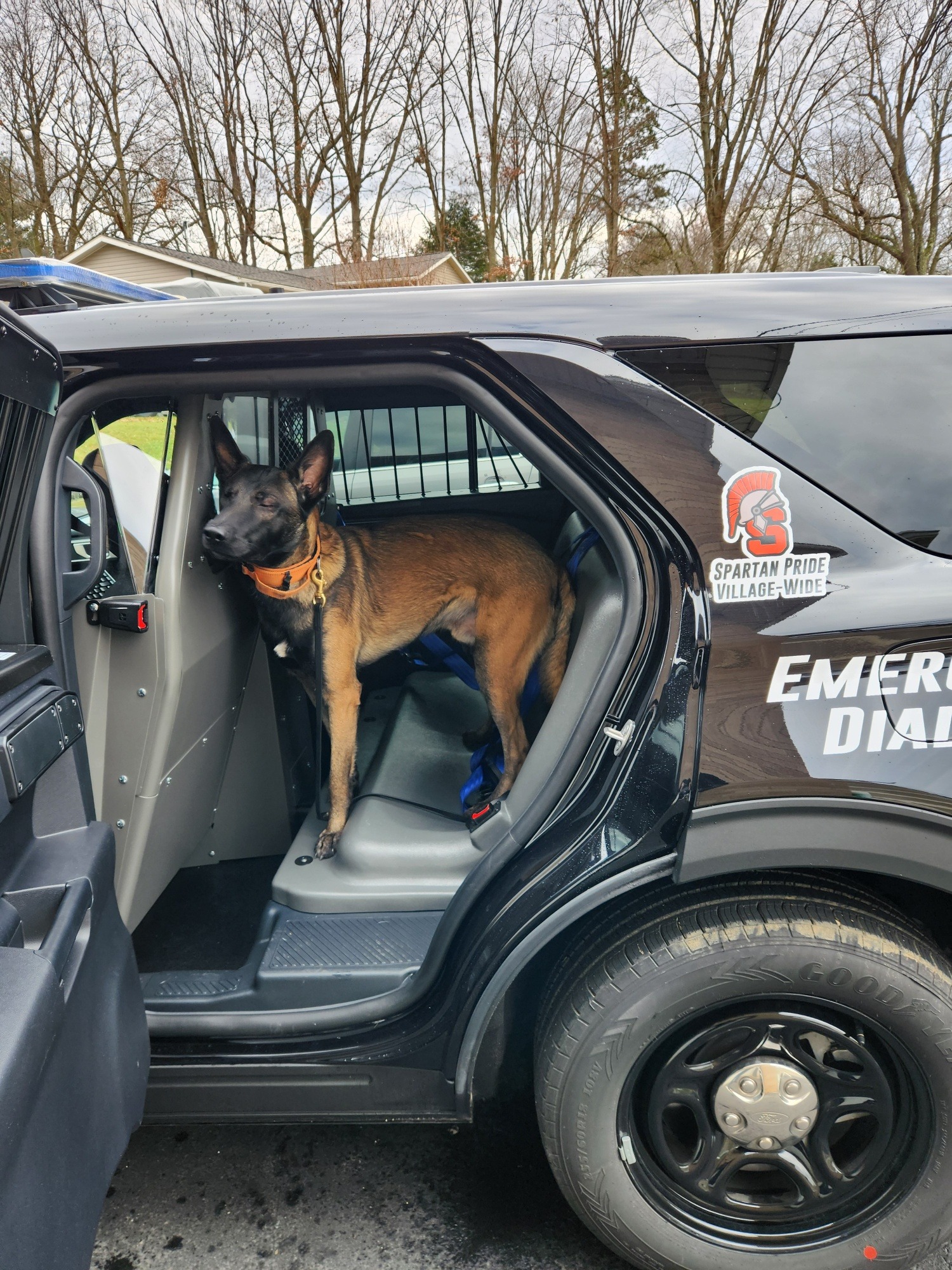 Support Drac's Recovery and Future Training campaign photo, 2 of 4