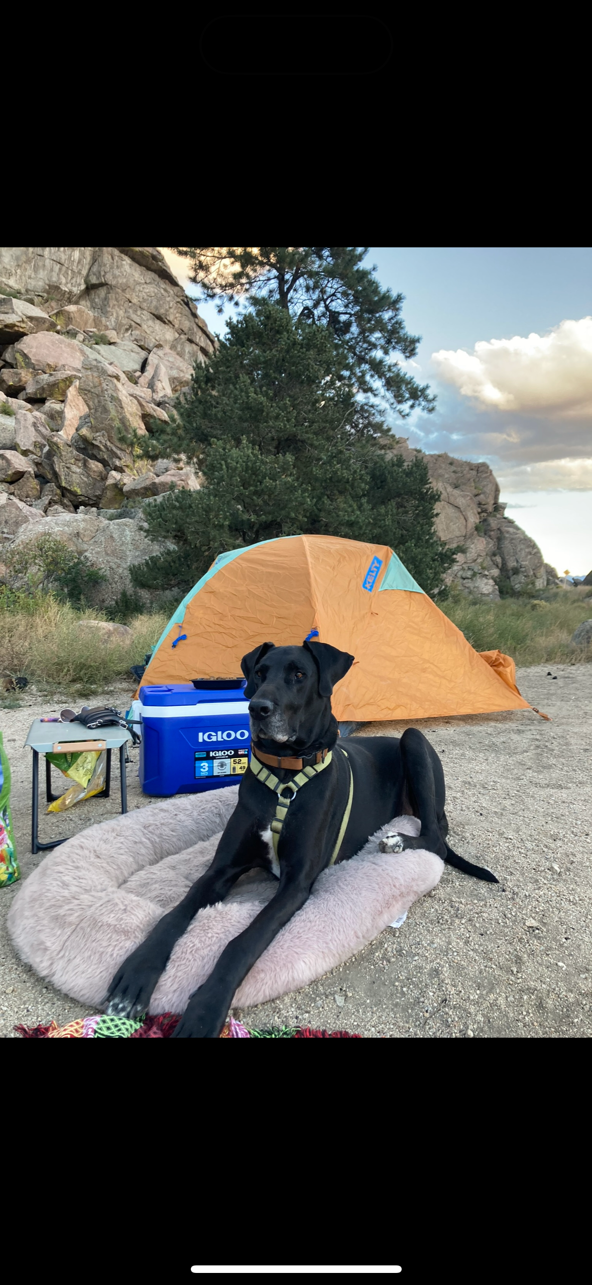 Help Eli Heal: Over $8,000 Spent campaign photo, 4 of 5