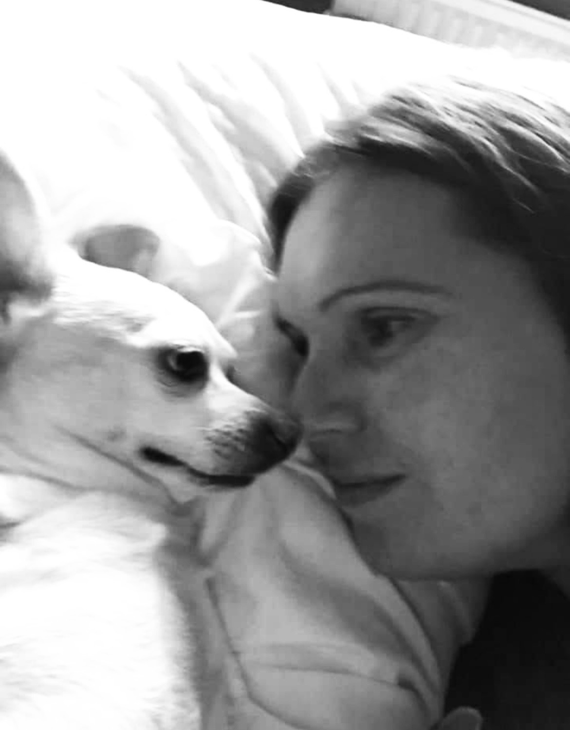 Getting my dogs ashes back as I’m so lost without him campaign photo, 6 of 7
