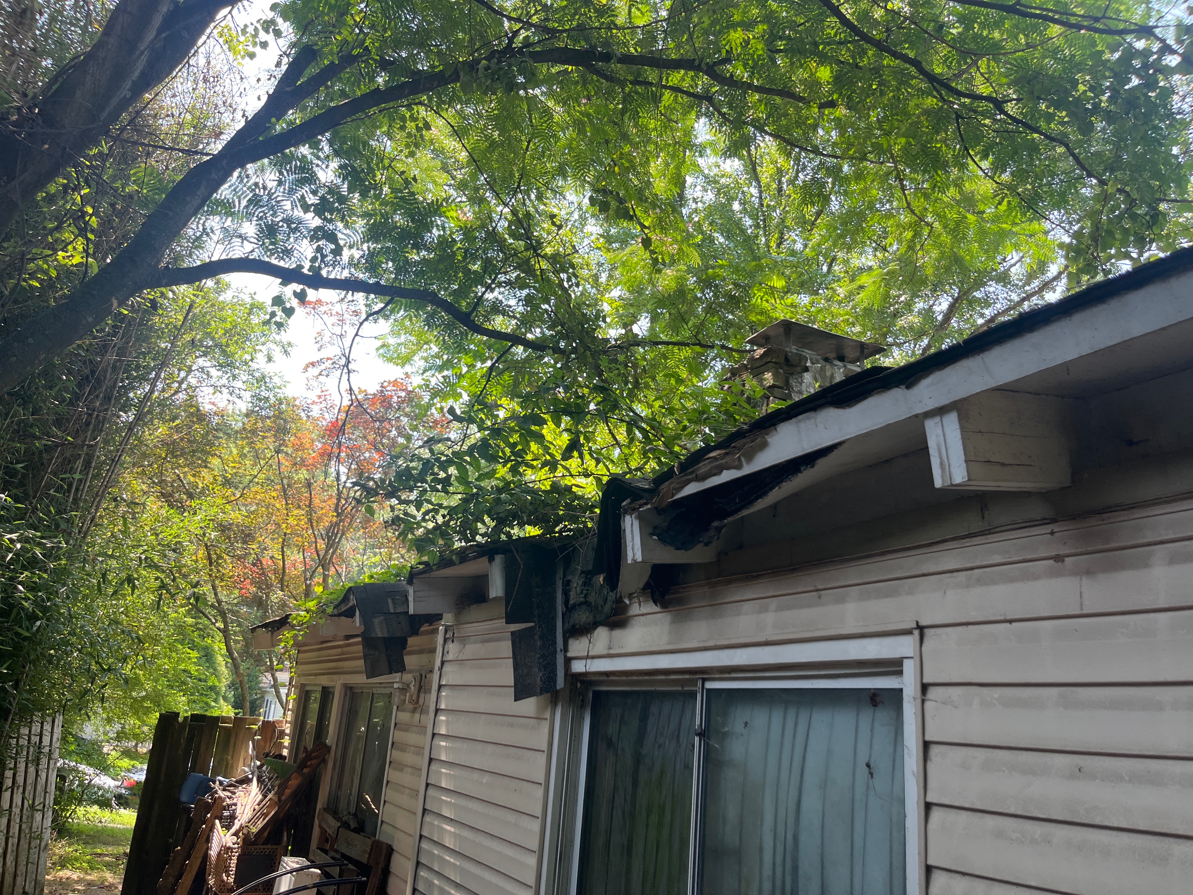 Join Us in Helping the Cousars Fix Their Roof campaign photo, 6 of 8