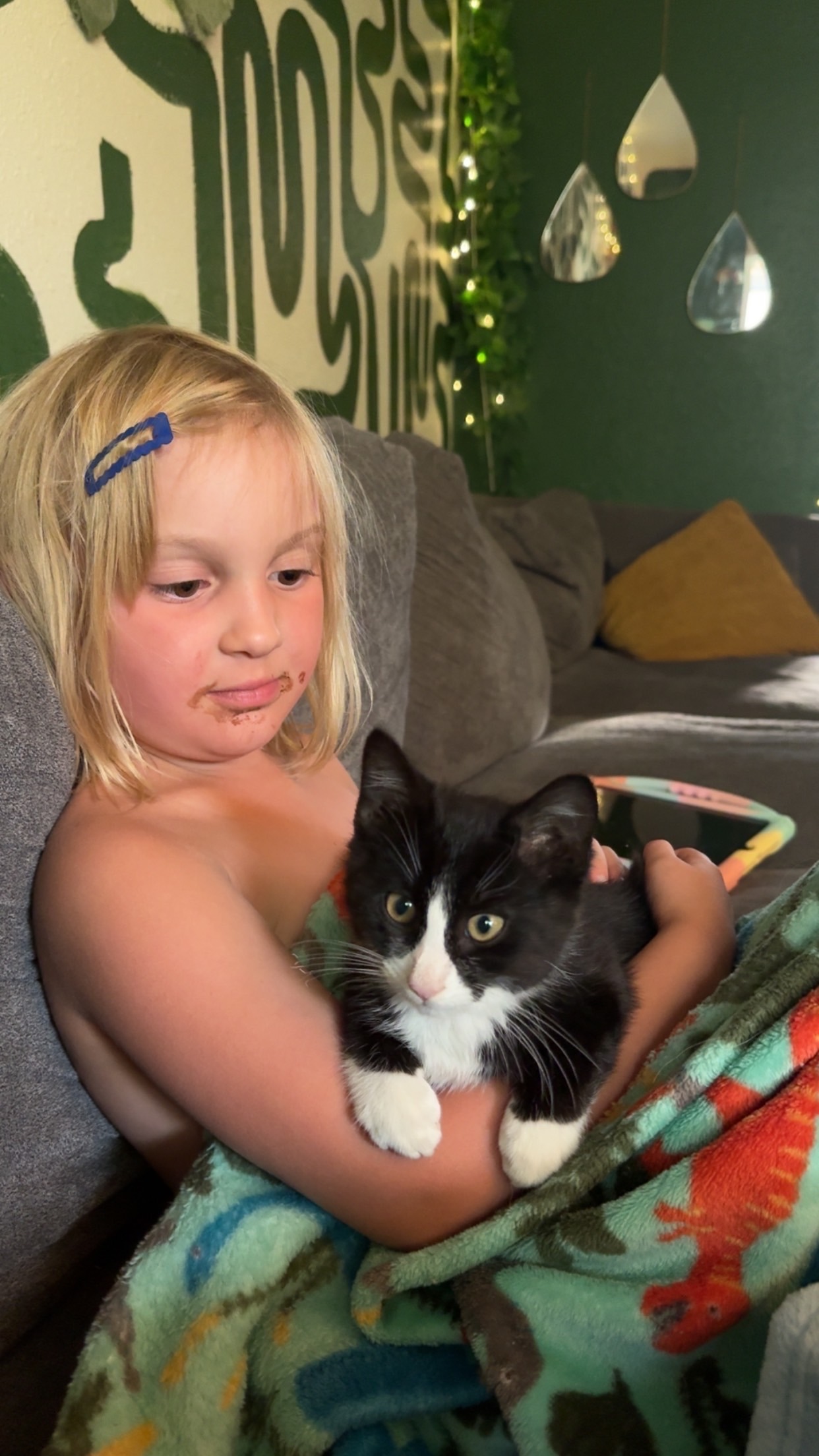 Help Frank the Kitten Heal After Amputation campaign photo, 4 of 8