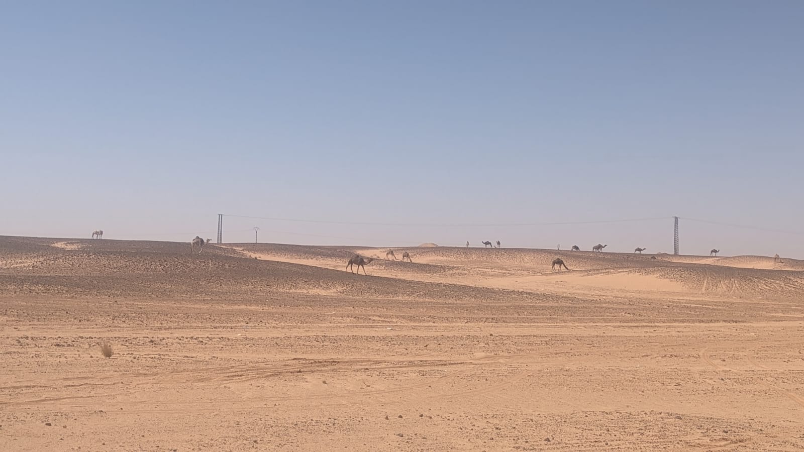 Westsahara: Helfen Sie gegen die tödliche Wüstenhitze. campaign photo, 2 of 5