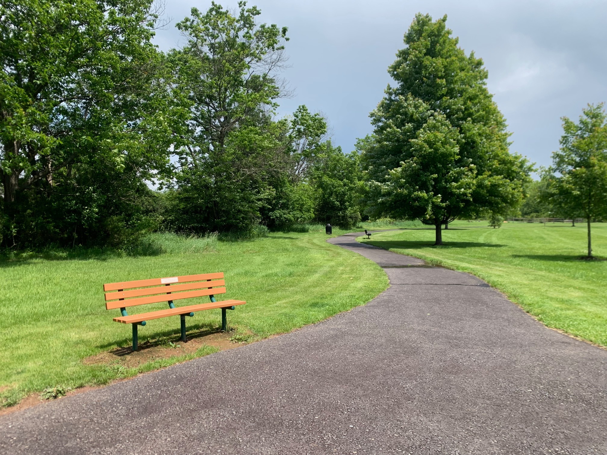 Memorial Bench in Loving Memory of Sharon McDonald campaign photo, 5 of 5