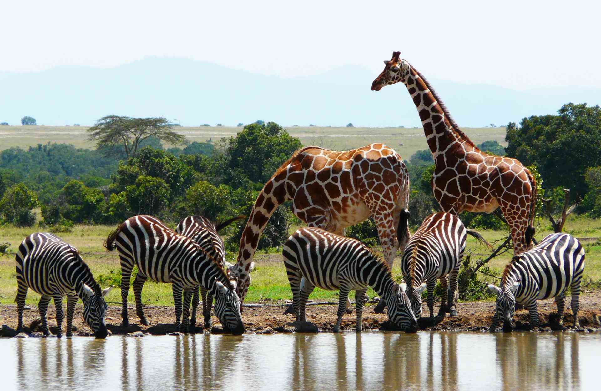 Help San Rafael Students Experience Kenya campaign photo, 5 of 8