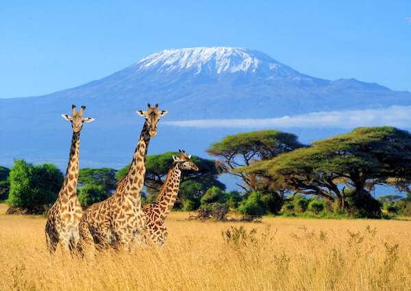 Help San Rafael Students Experience Kenya campaign photo, 6 of 8
