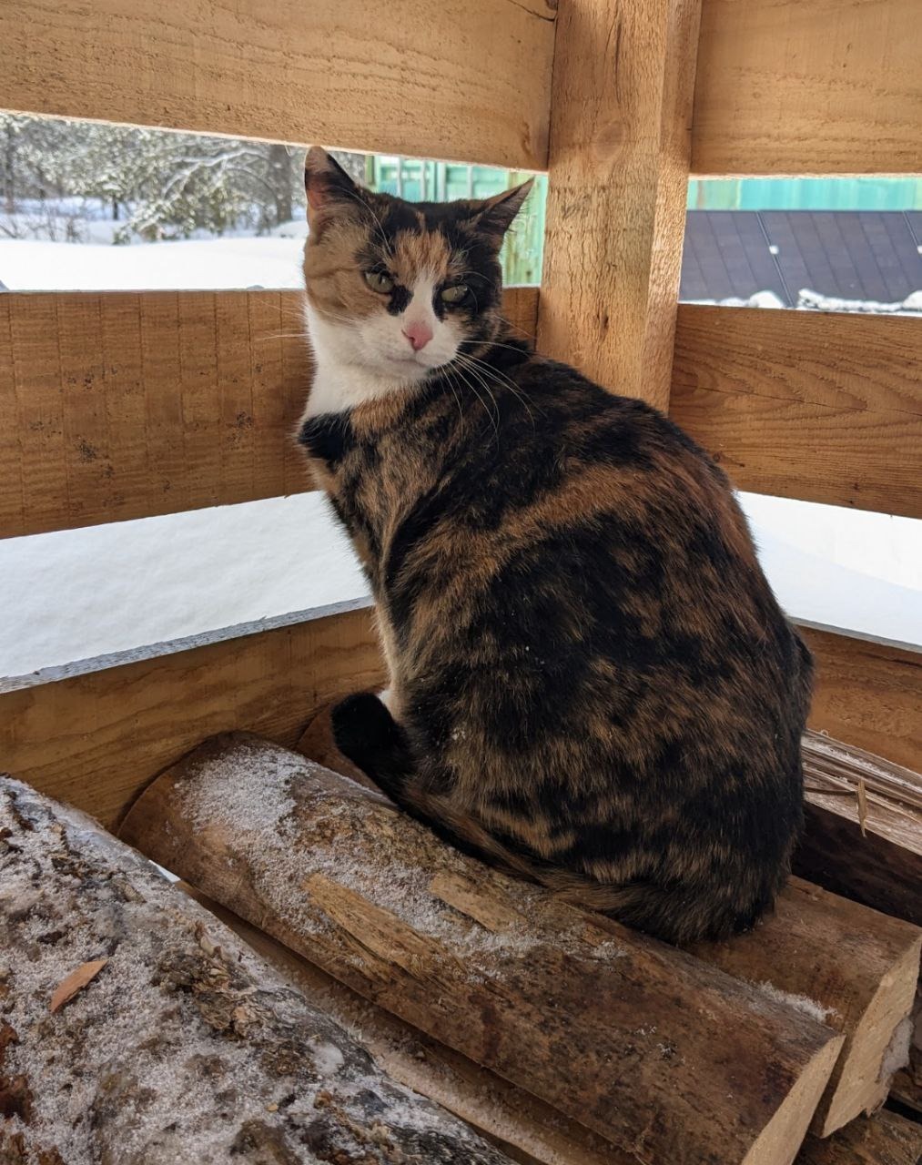 User-uploaded image 1