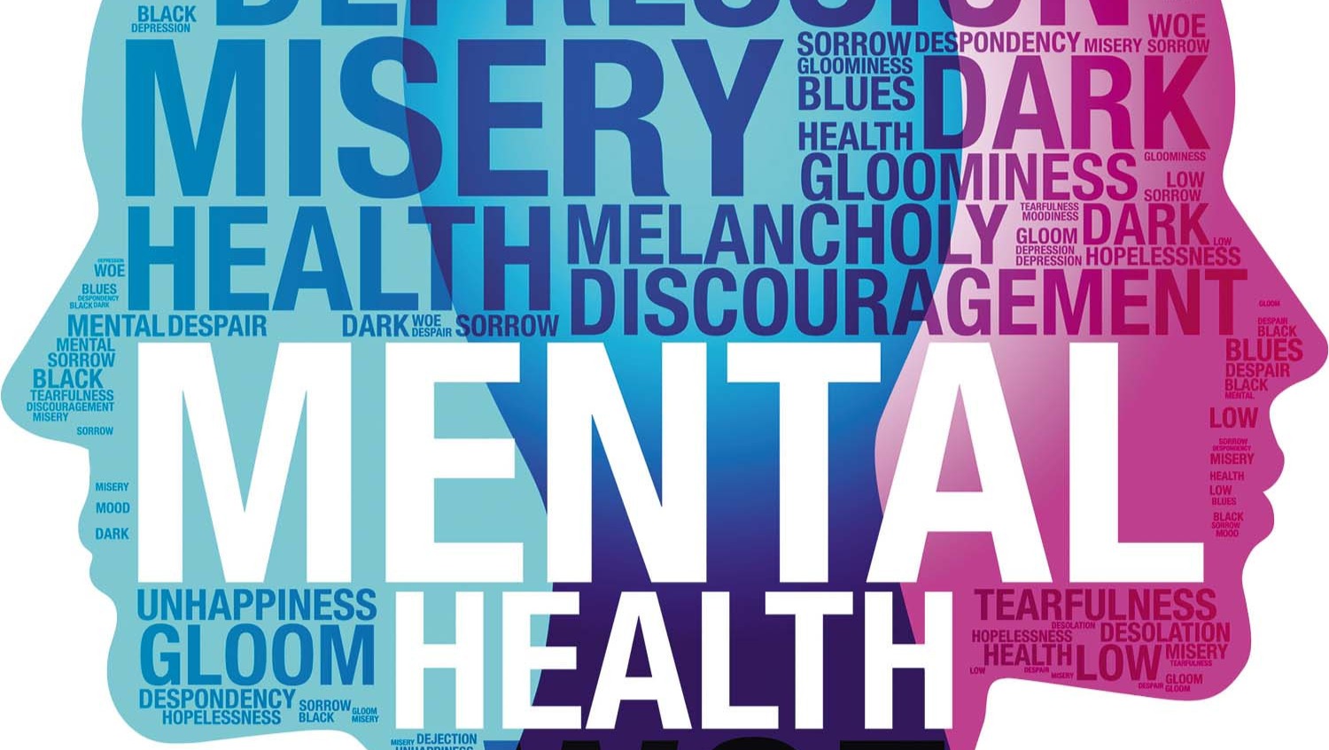 Help Me Access Mental Health Support & Autism-Affirming Care photo