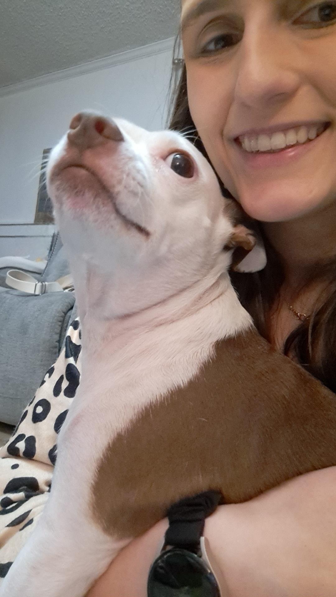Help Stella Fight ITP – Emergency Treatment Needed campaign photo, 4 of 6