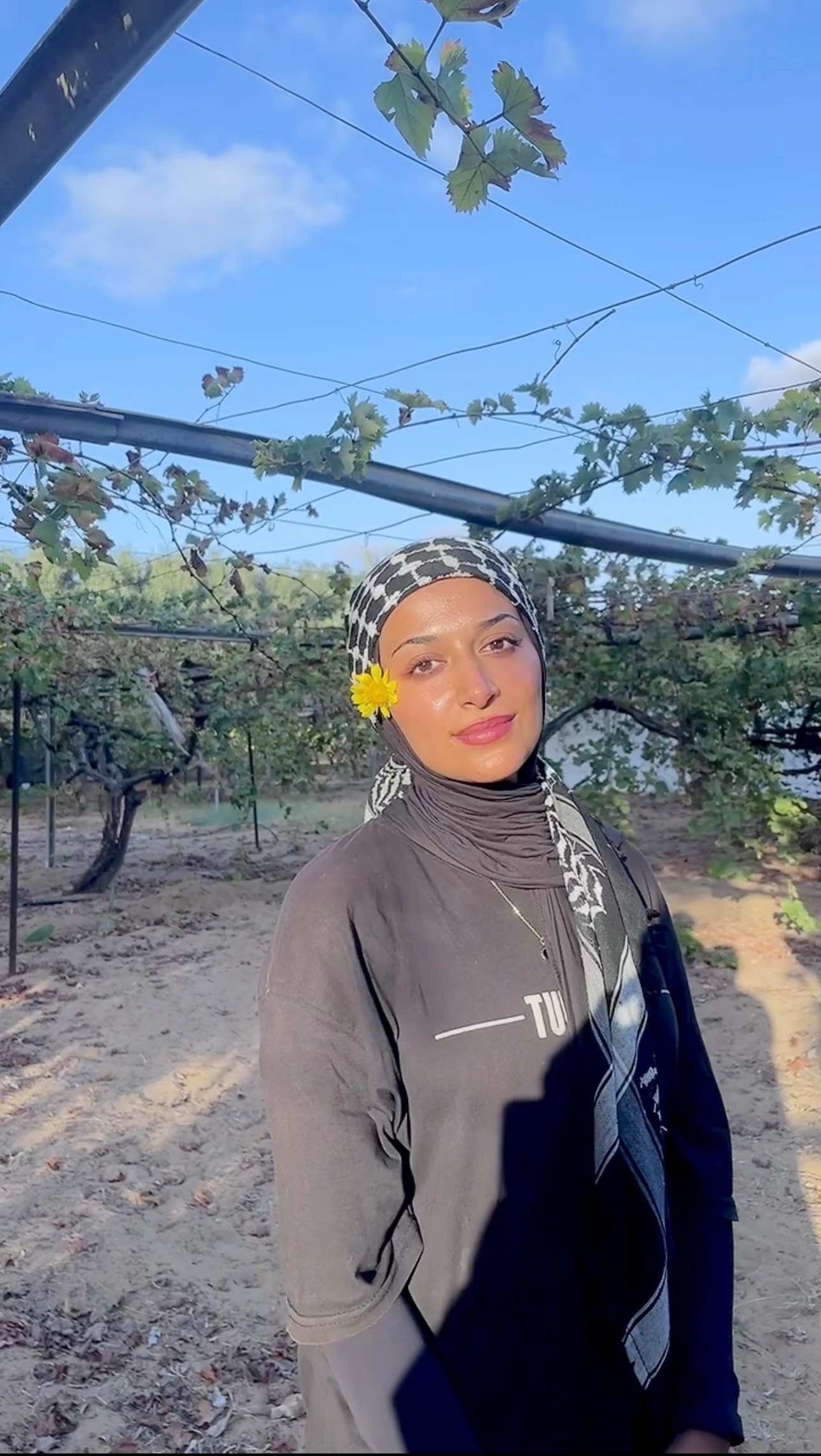 Aidez Nour de Gaza à étudier pour un master en France campaign photo, 2 of 4