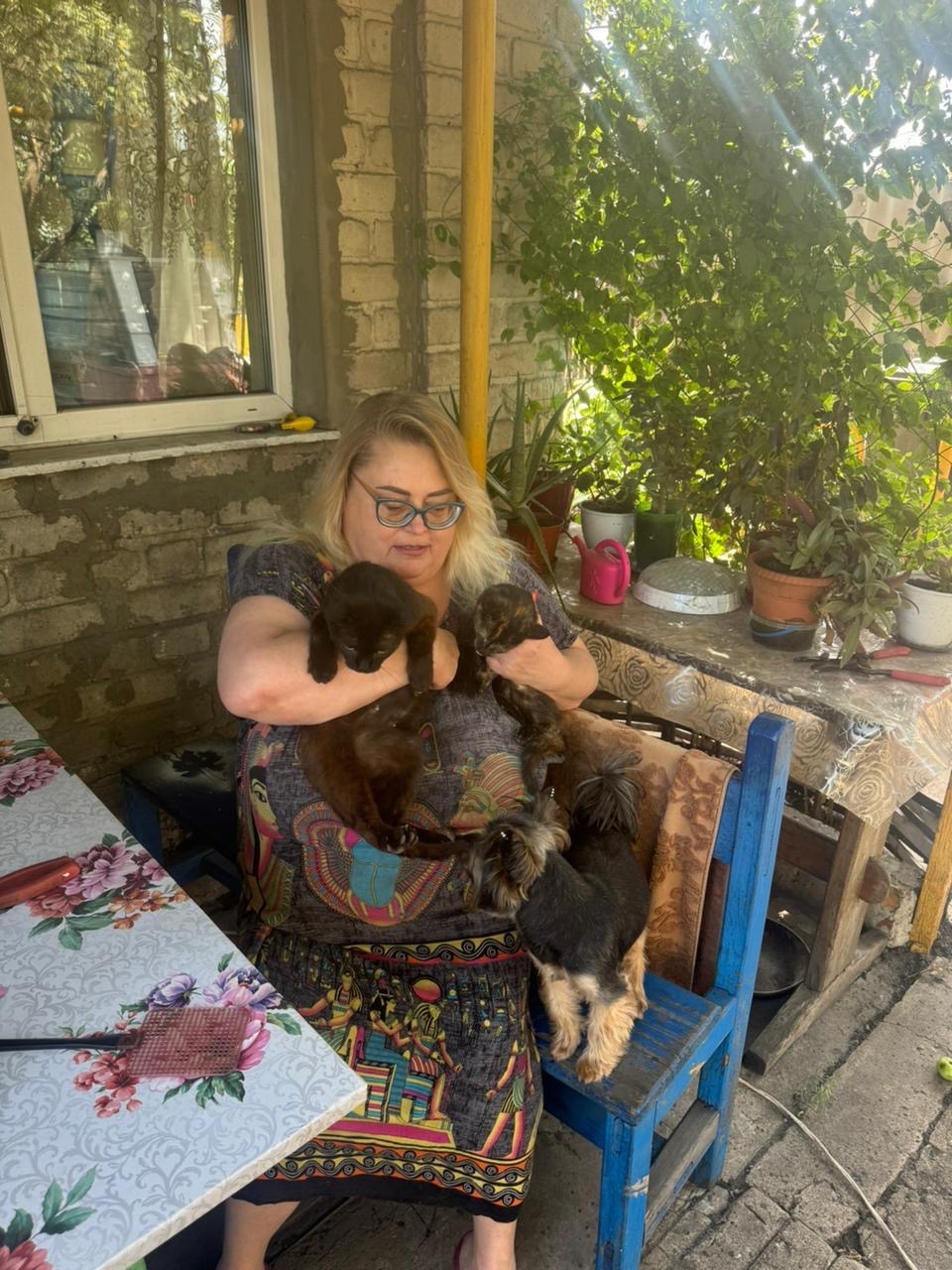 Help my parents evacuate animals 3 dogs 3 cats campaign photo, 6 of 8