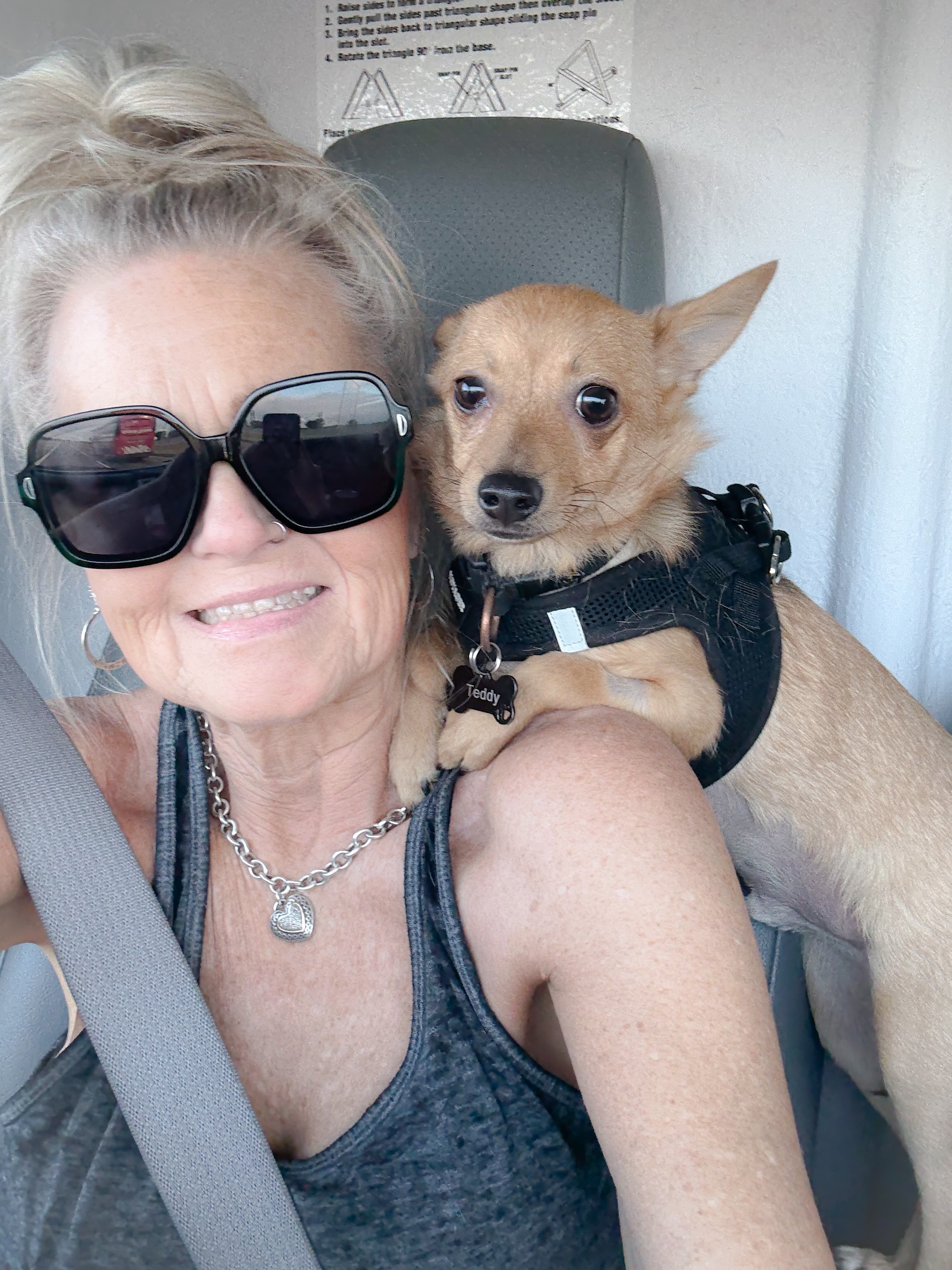 Please Help w Teddy's Knee Surgery campaign photo, 2 of 4
