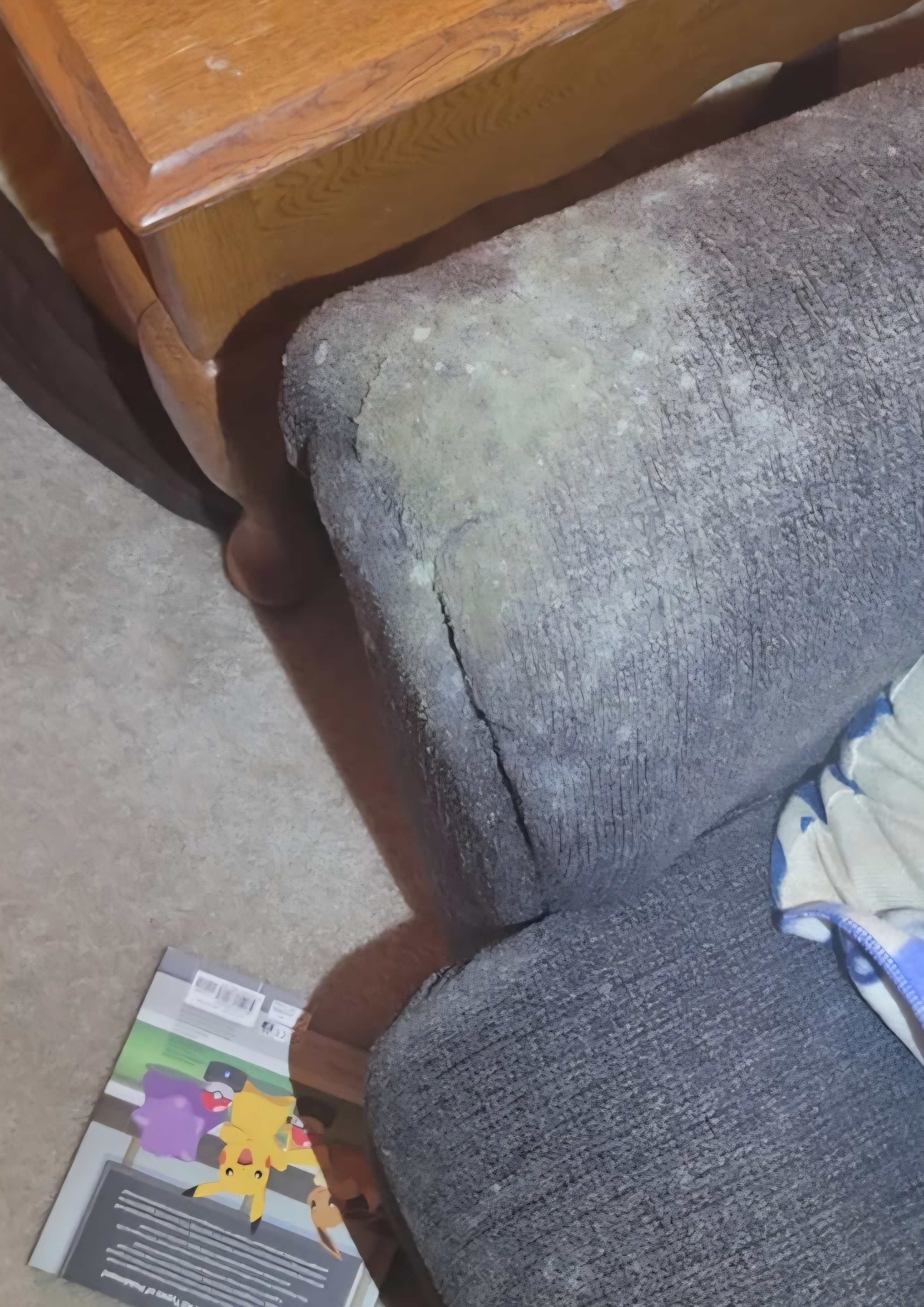Mold Strikes: Help the Irvines Rebuild Their Lives campaign photo, 5 of 8
