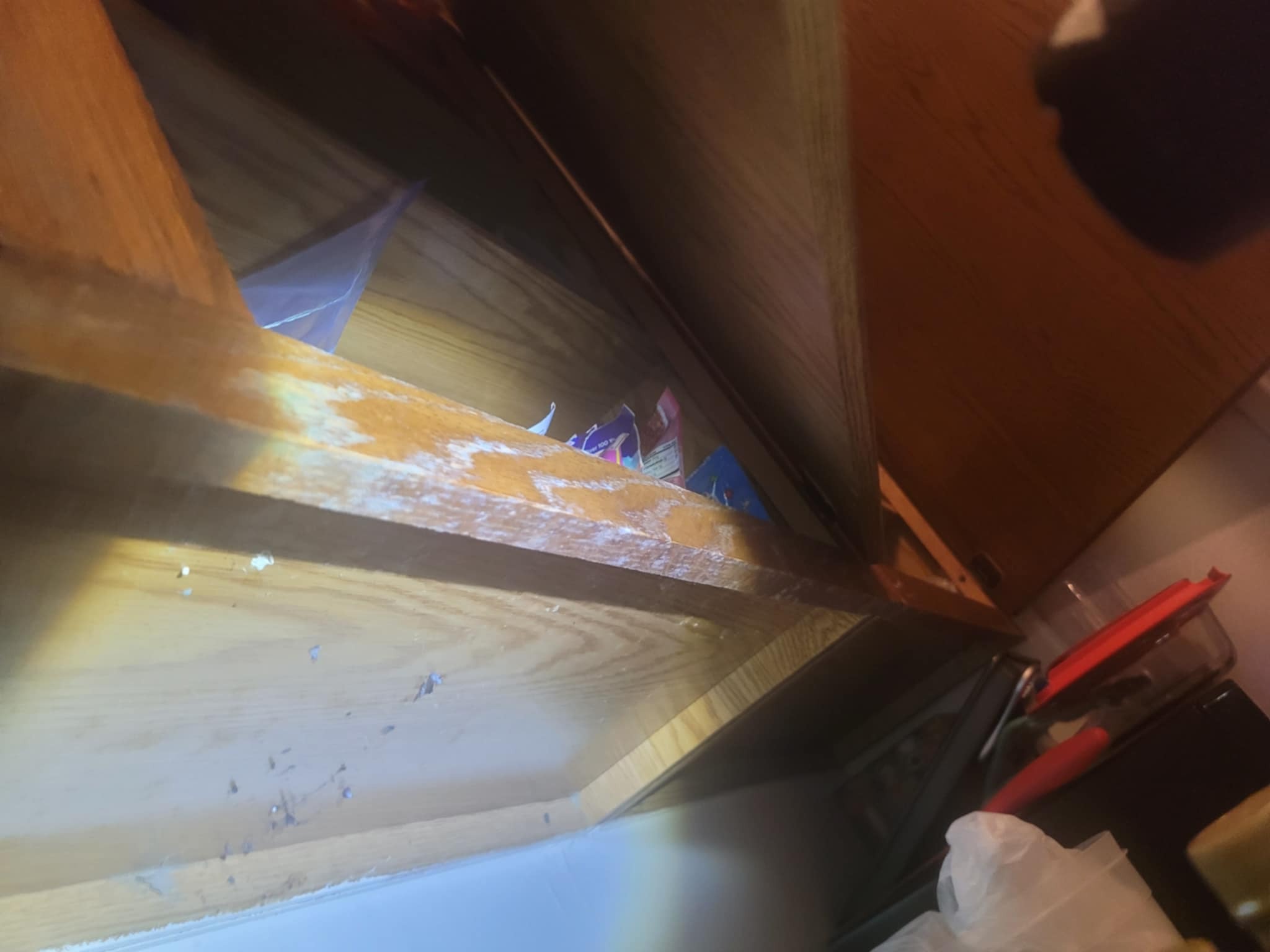 Mold Strikes: Help the Irvines Rebuild Their Lives campaign photo, 6 of 8