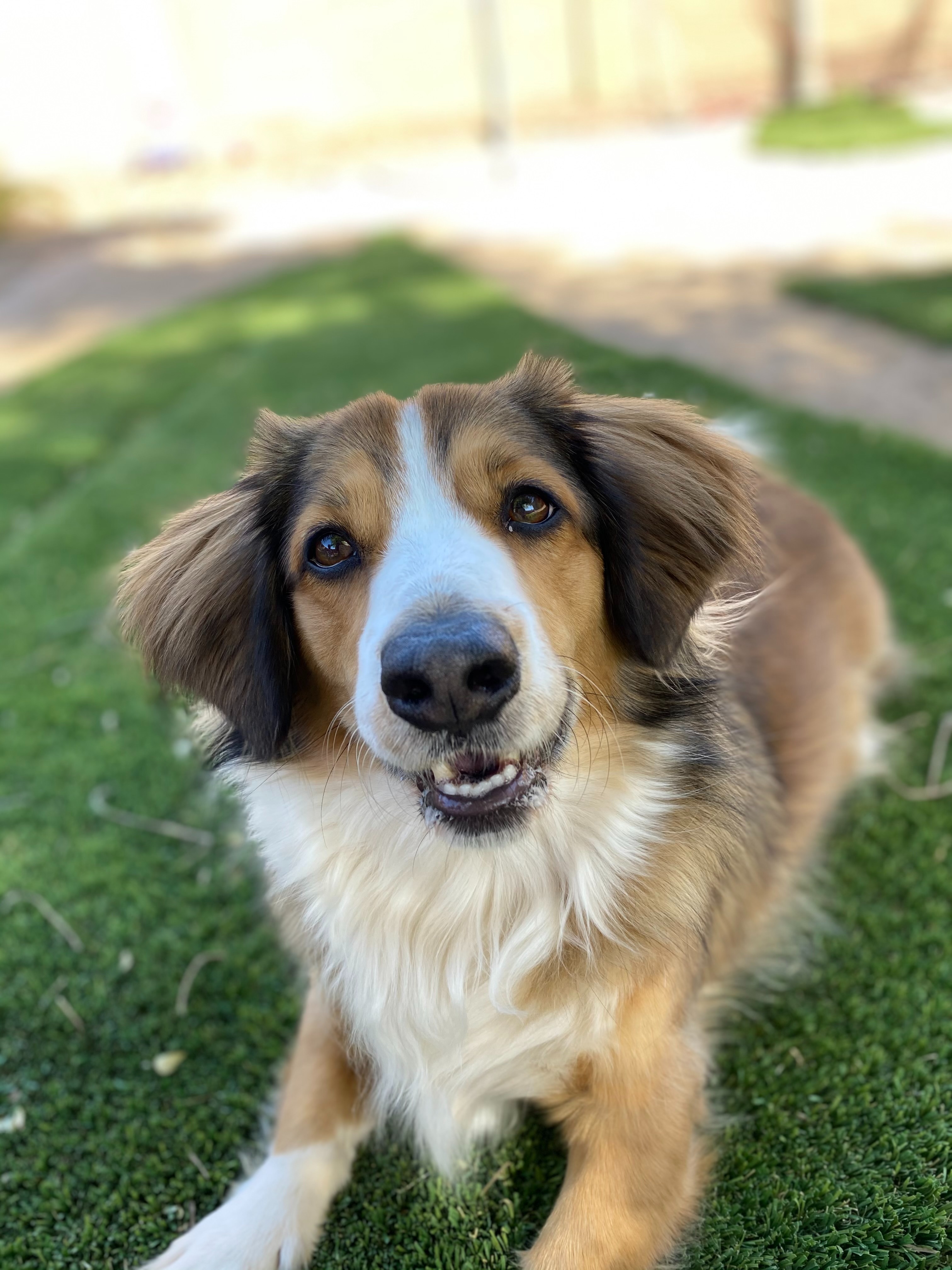Support Jax's Journey to Seizure-Free Life campaign photo, 6 of 7