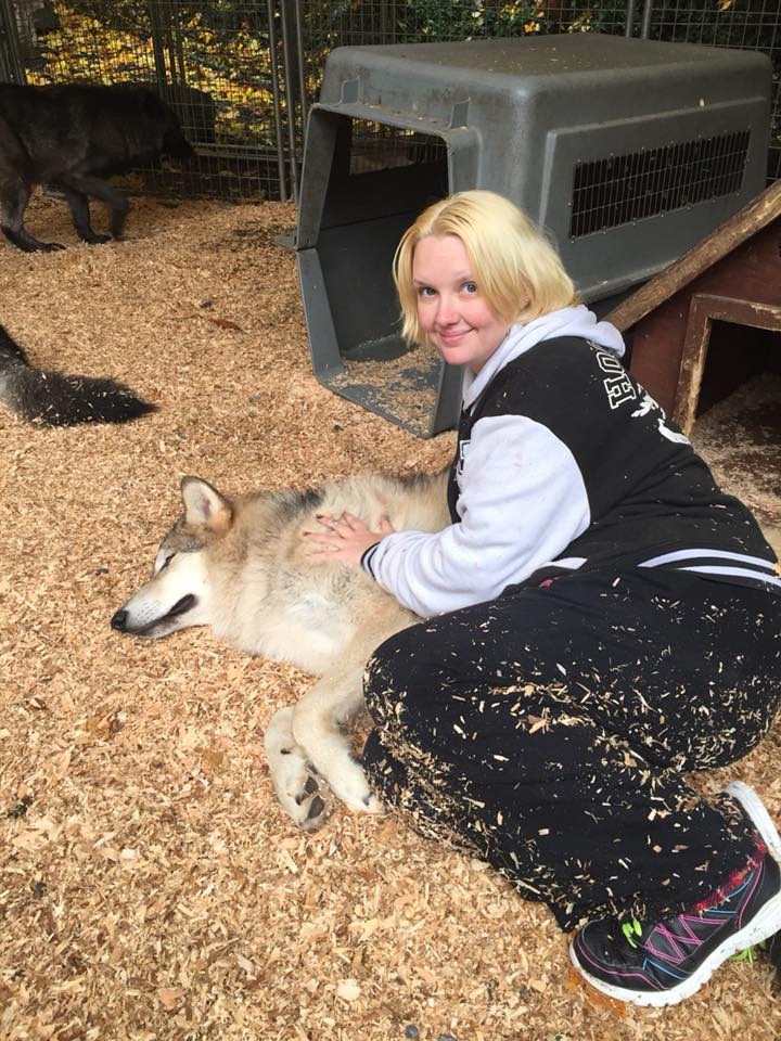 User-uploaded image 1