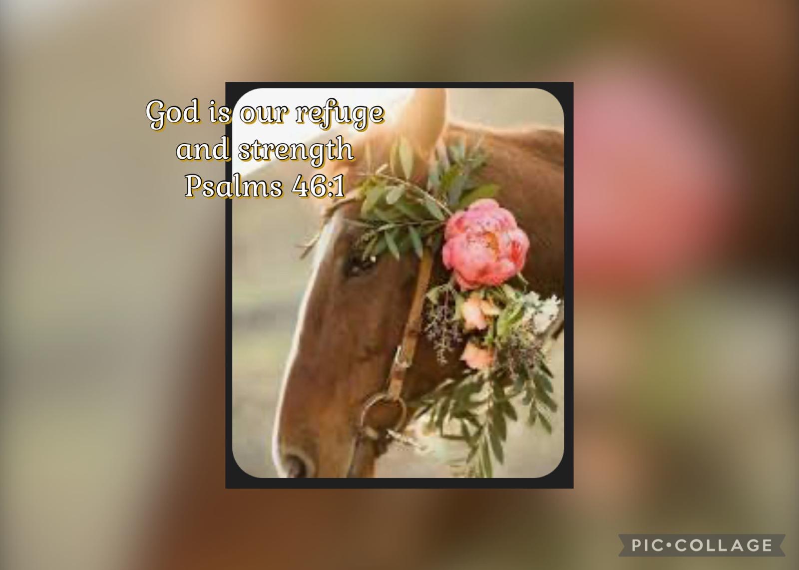 User-uploaded image 1