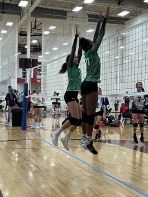 Help Jalayah Honor Her Mom Through Volleyball campaign photo, 2 of 7