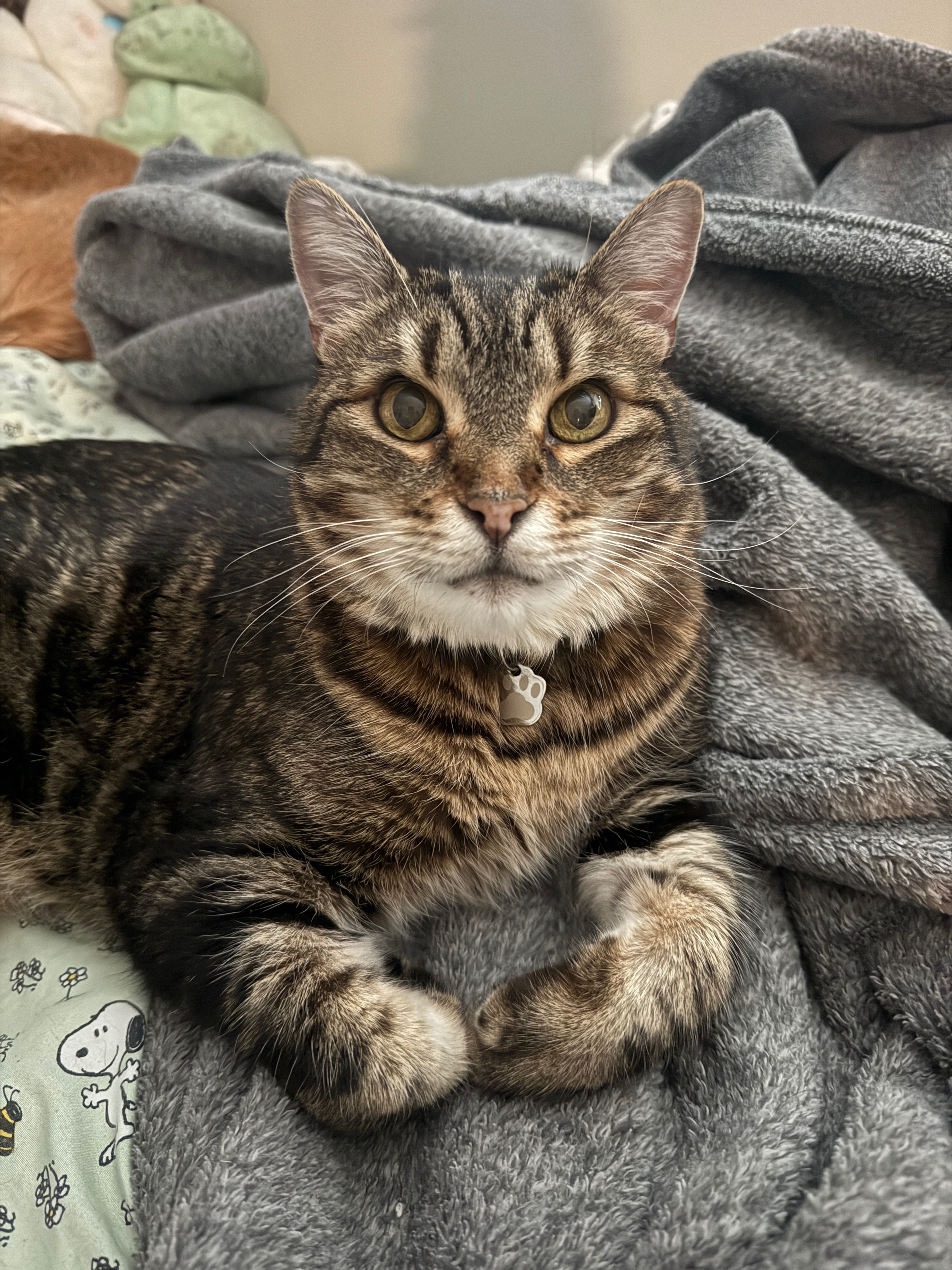 Support Zuko’s Care: Diabetic debt campaign photo, 2 of 5