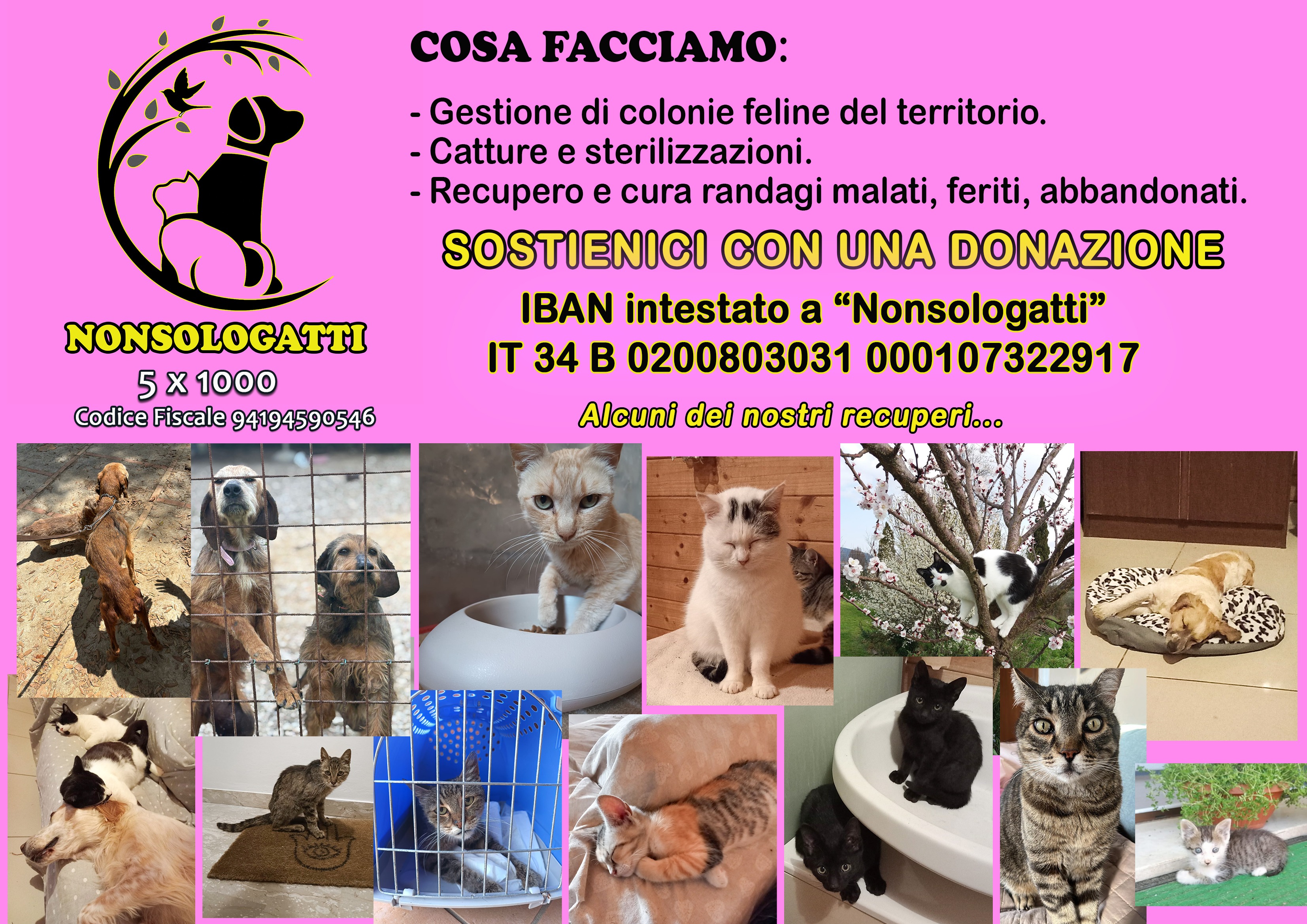 STERILIZZAZIONE MAMME GATTE campaign photo, 4 of 5