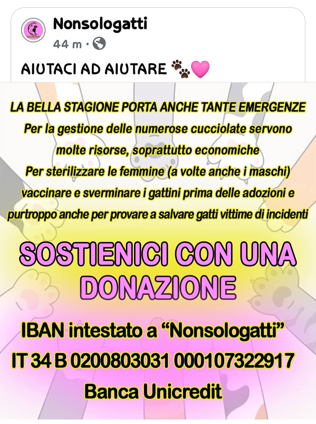 STERILIZZAZIONE MAMME GATTE campaign photo, 2 of 5