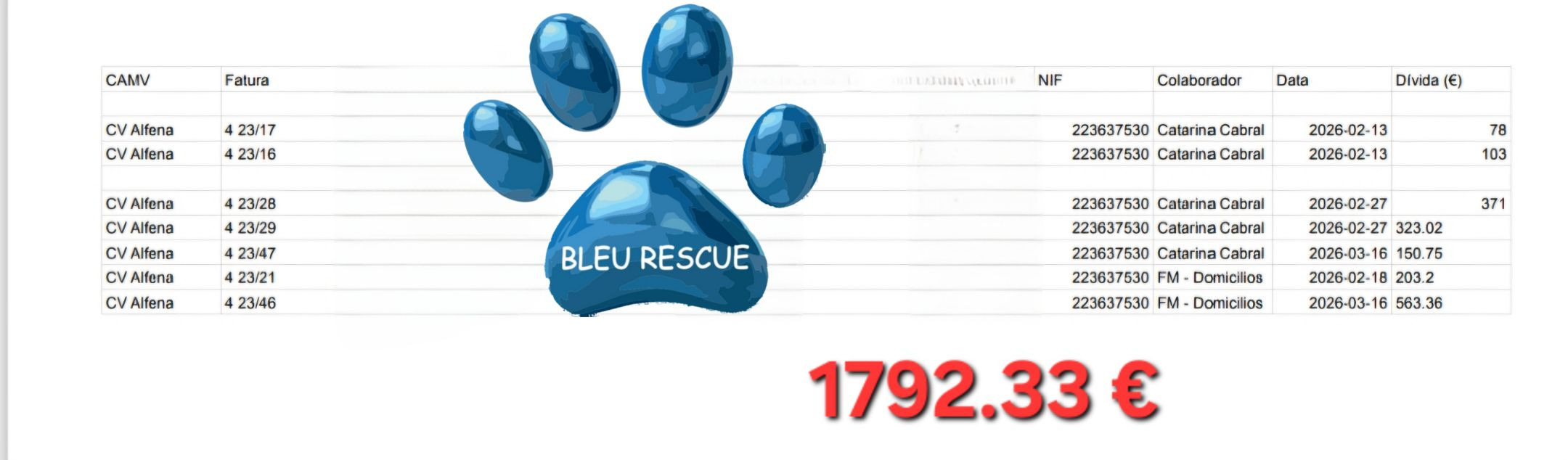 Ajude a Bleu Rescue a continuar a salvar vidas! campaign photo, 4 of 8