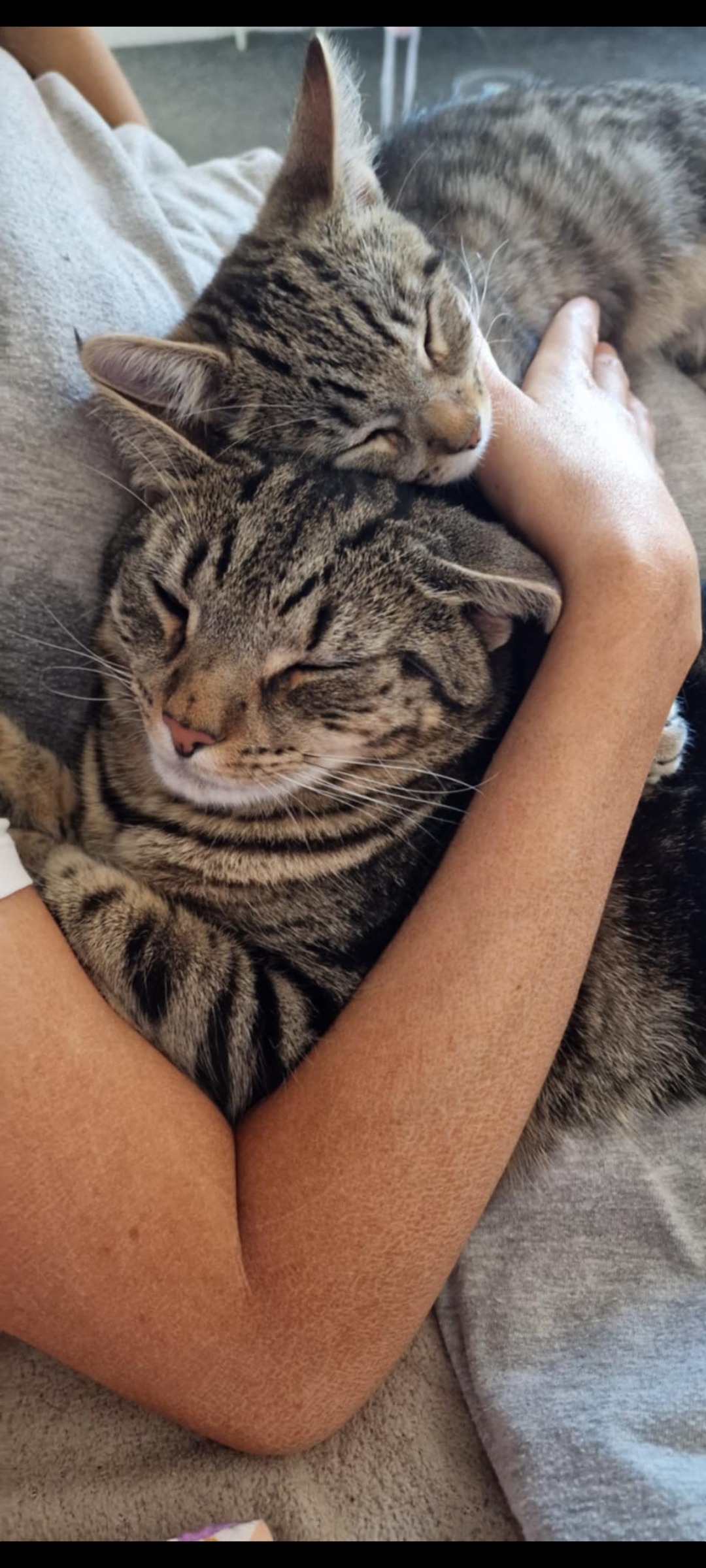 User-uploaded image 4