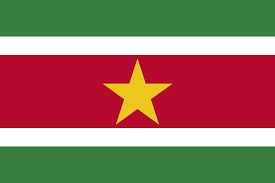 Samen voor Suriname campaign photo, 2 of 5