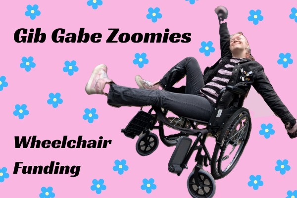 Gib Gabe Zoomies (Wheelchair Funding) campaign photo, 2 of 4