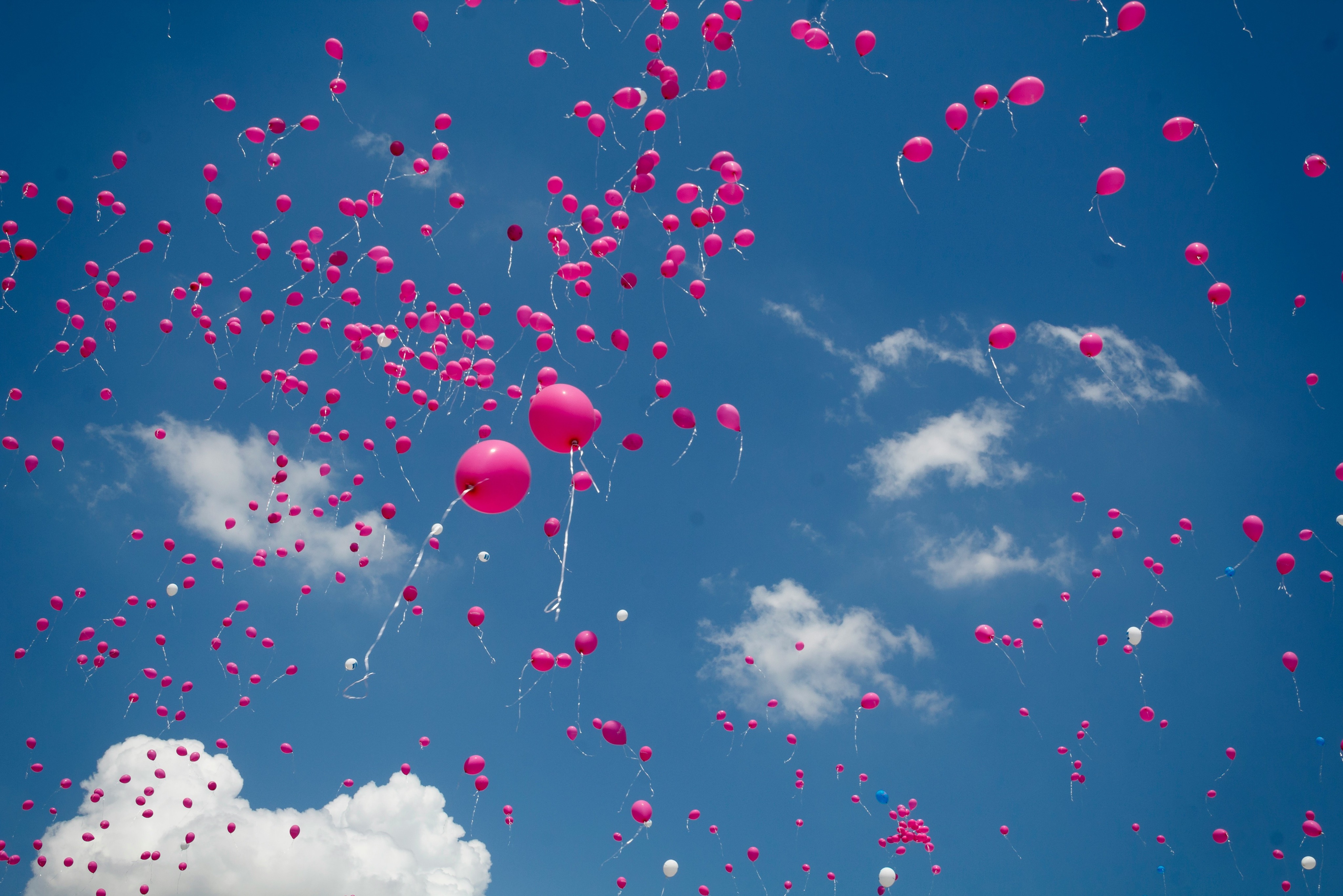 In Memory Of Jojo: Donate to the Power of Pink campaign photo, 2 of 4